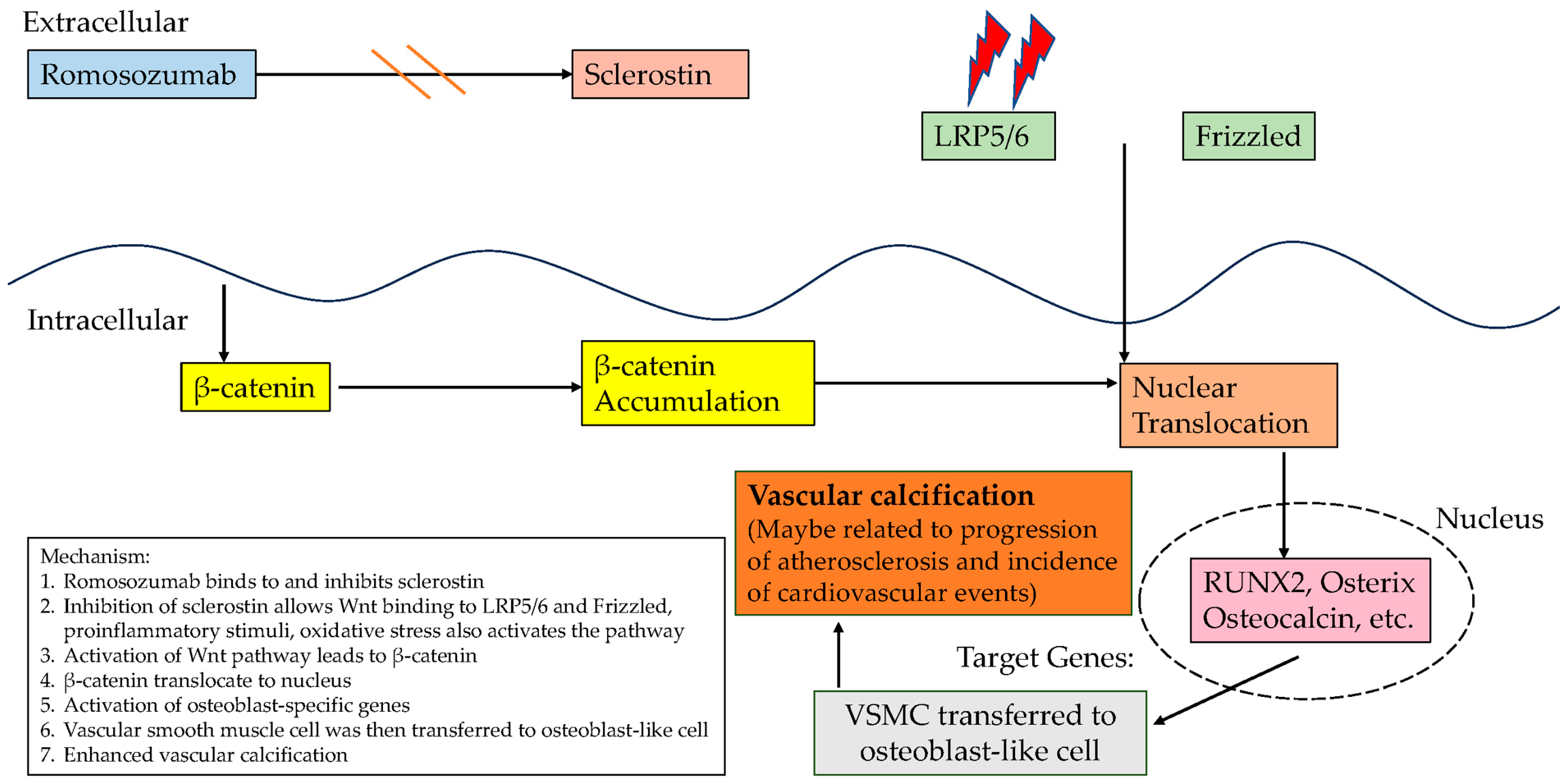 Biomedicines 12 02880 g002