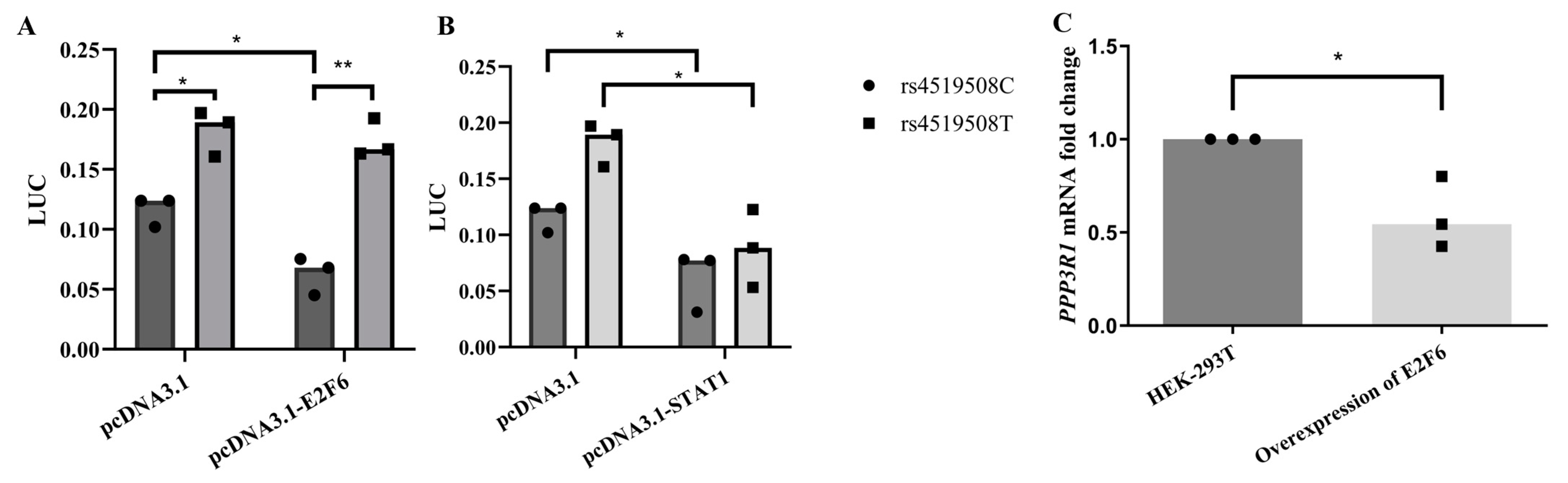 Biomedicines 12 02896 g002
