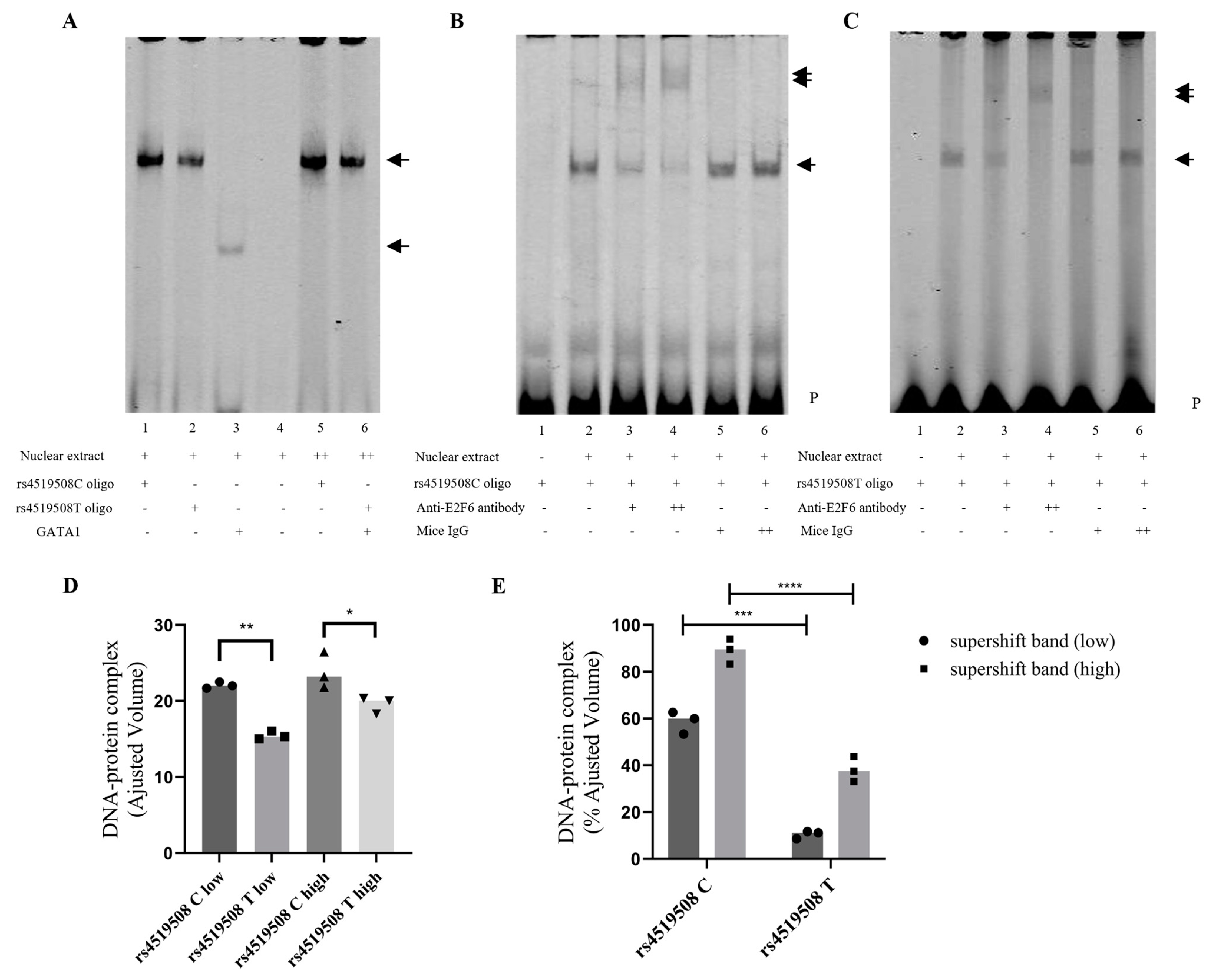 Biomedicines 12 02896 g003