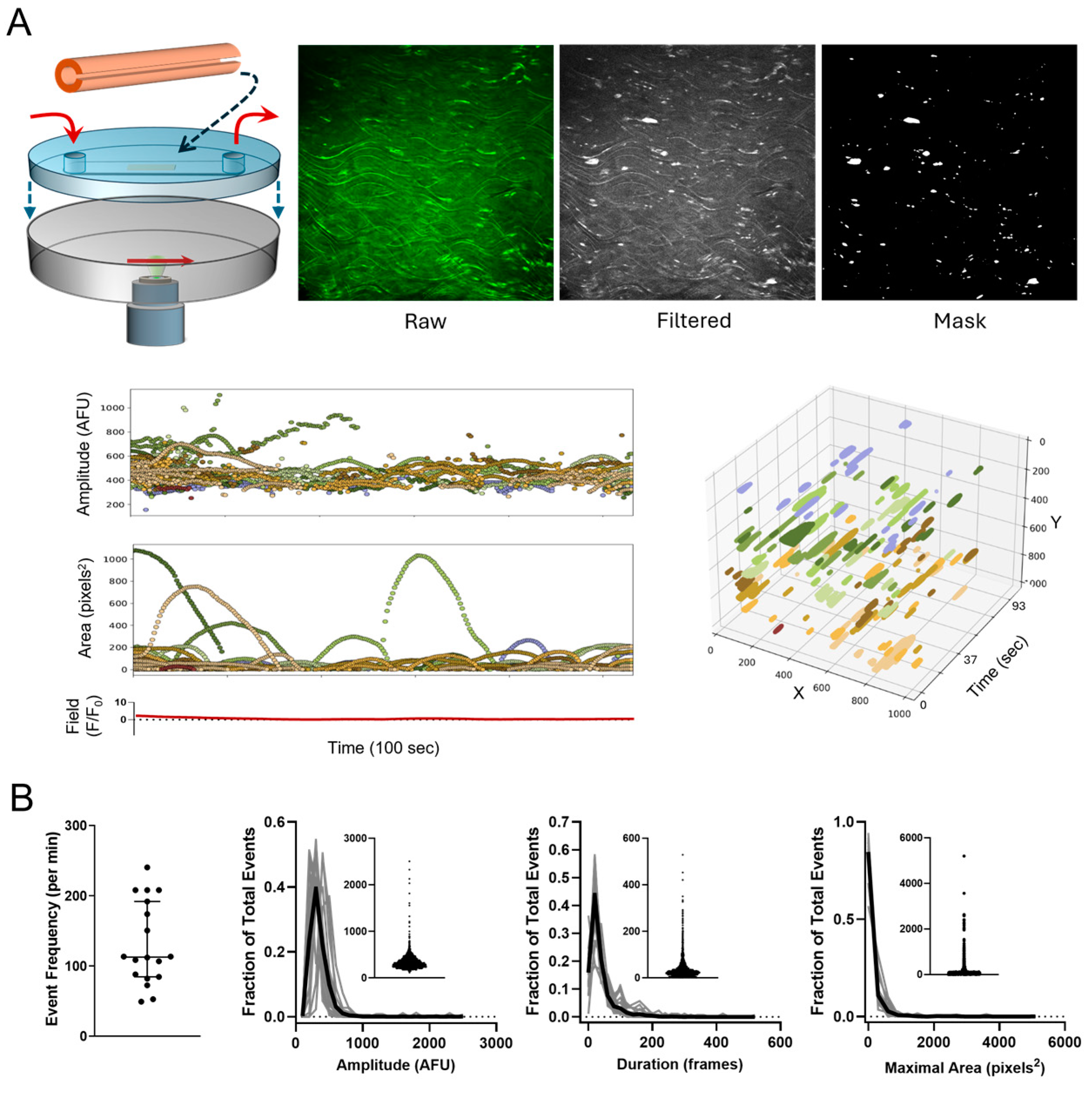 Biomedicines 12 02900 g001a