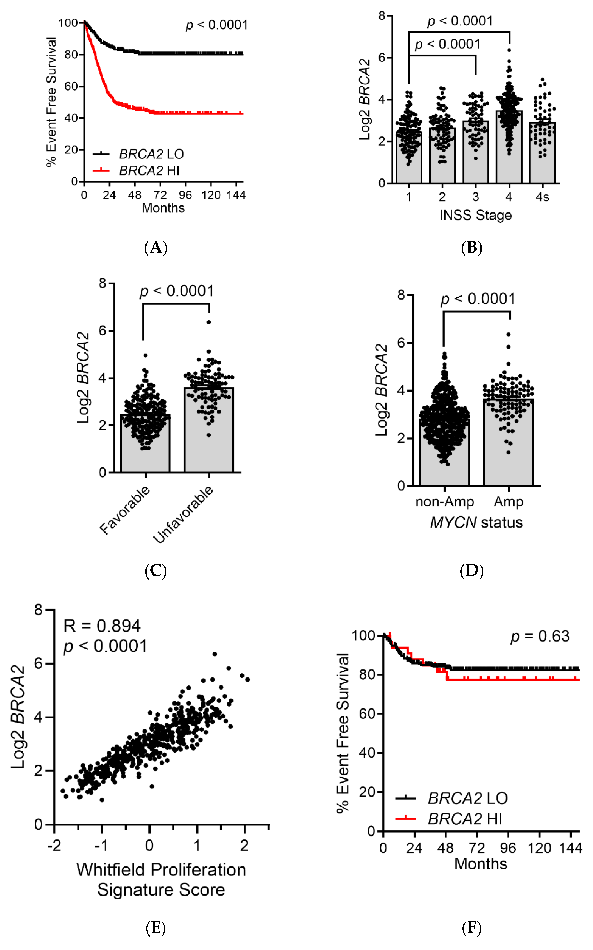 Biomedicines 12 02901 g004