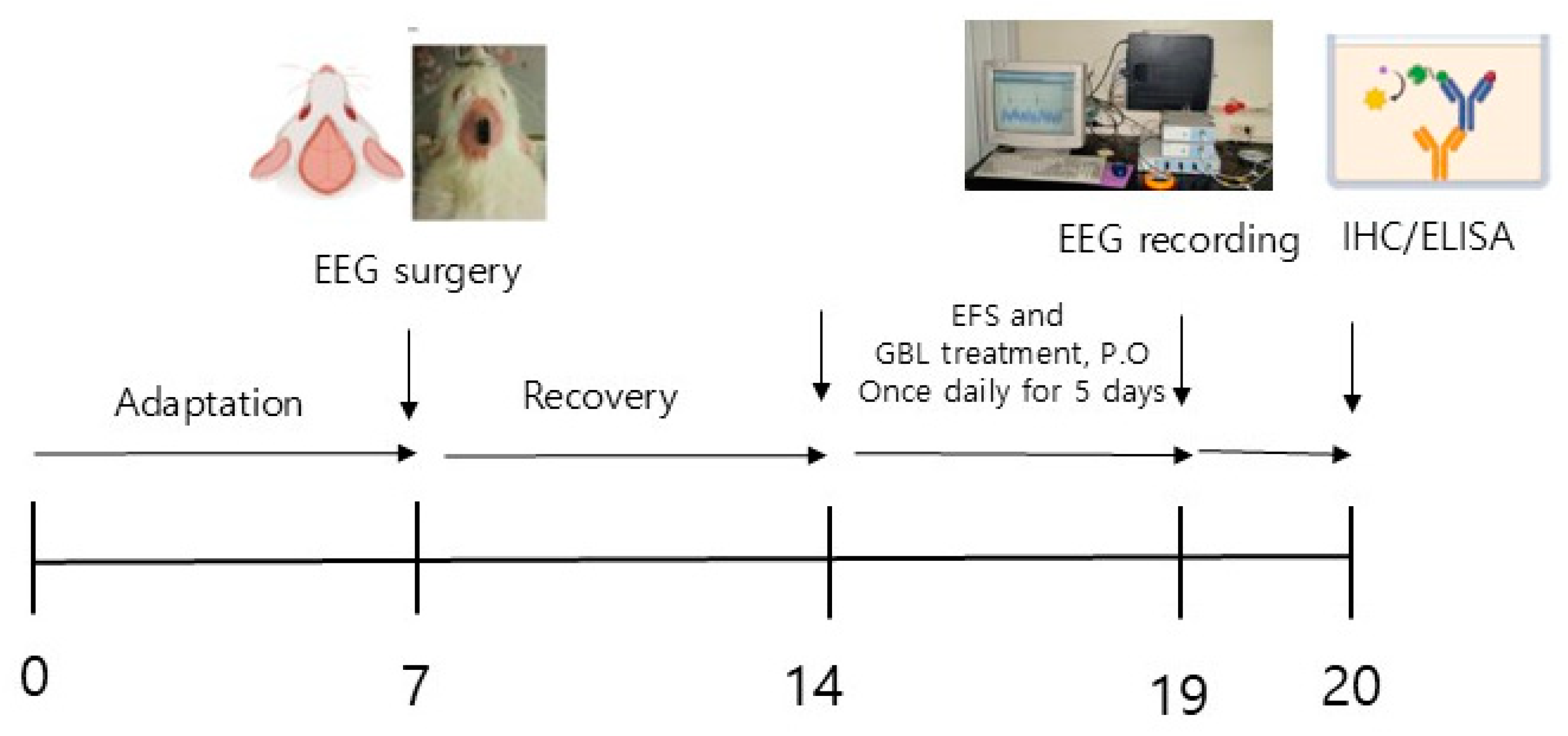 Biomedicines 12 02905 g001