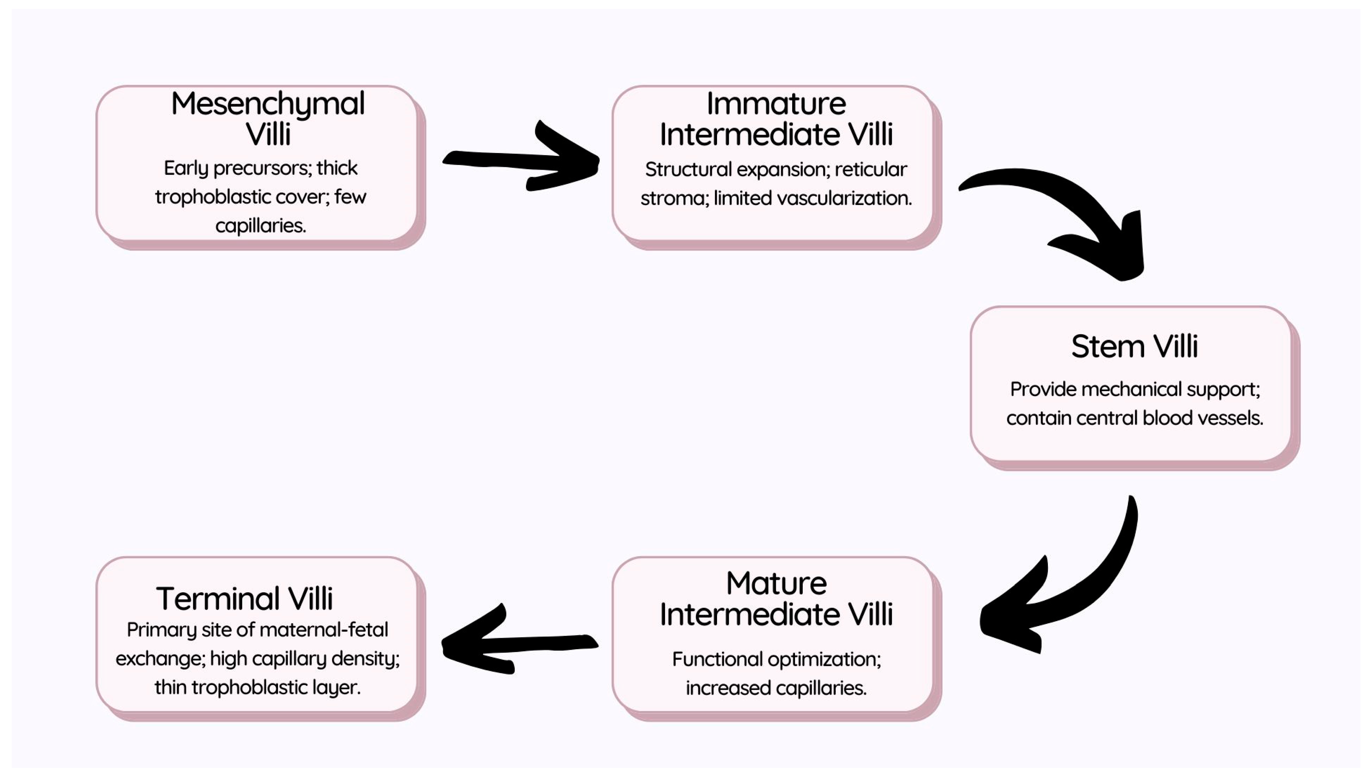 Biomedicines 12 02908 g001