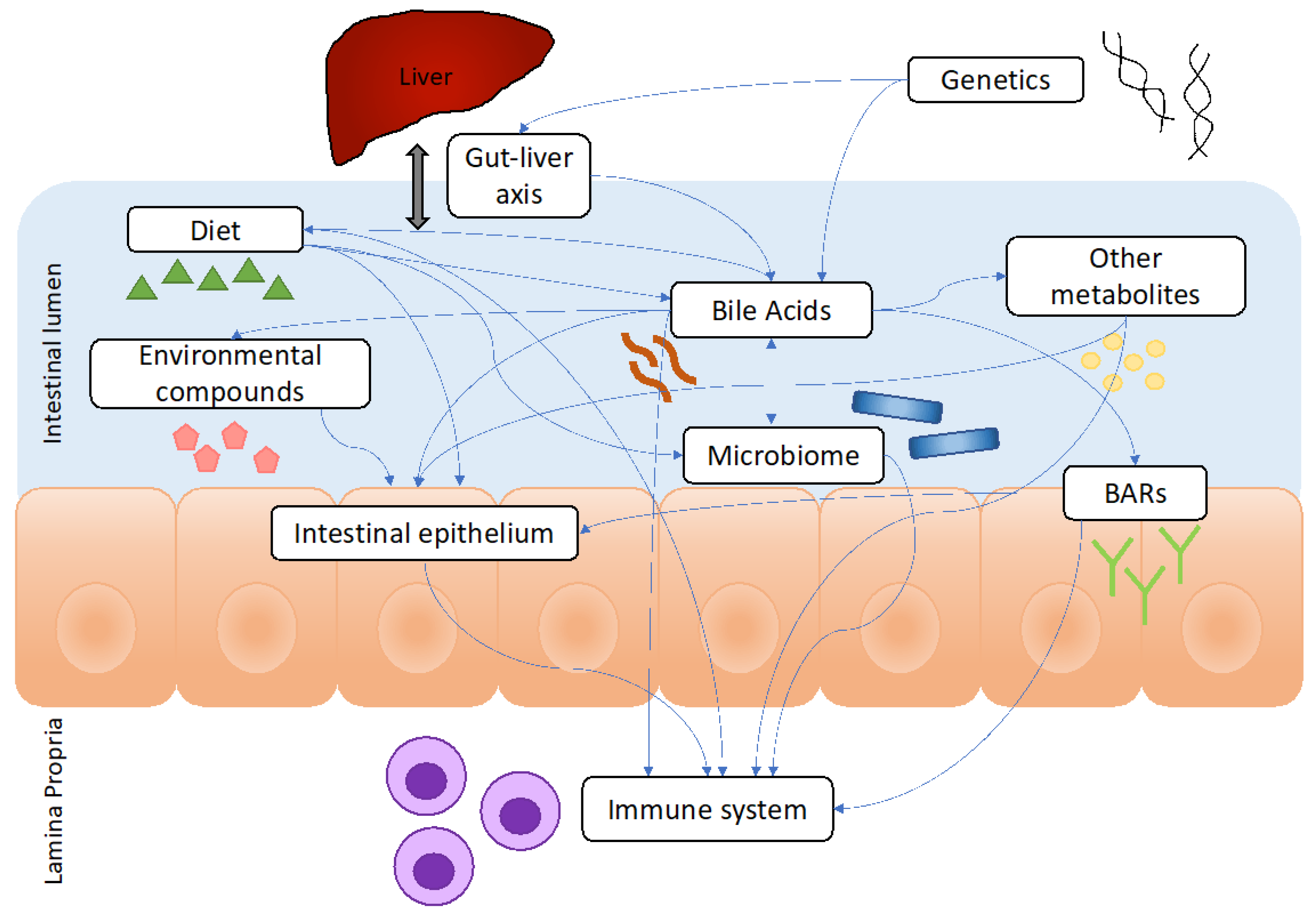 Biomedicines 12 02910 g001