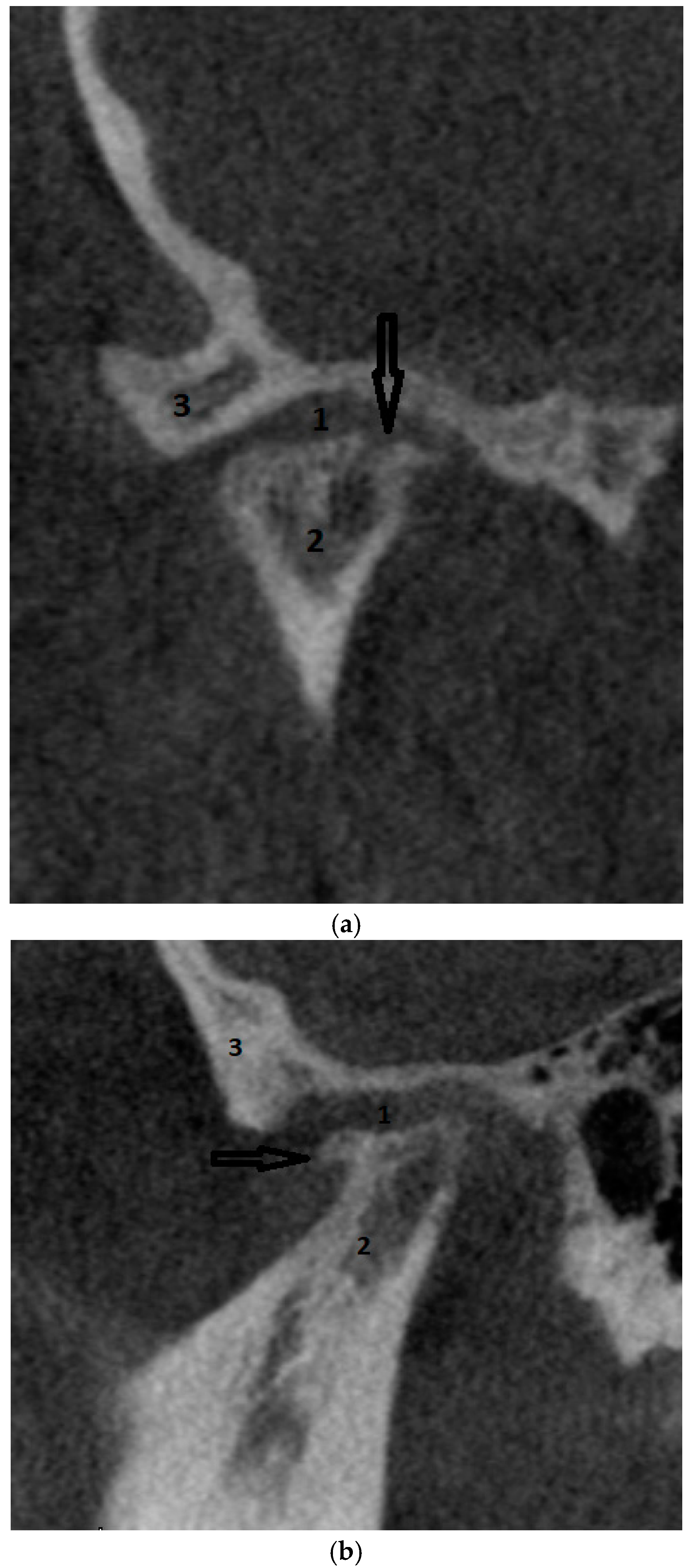 Biomedicines 12 02915 g001