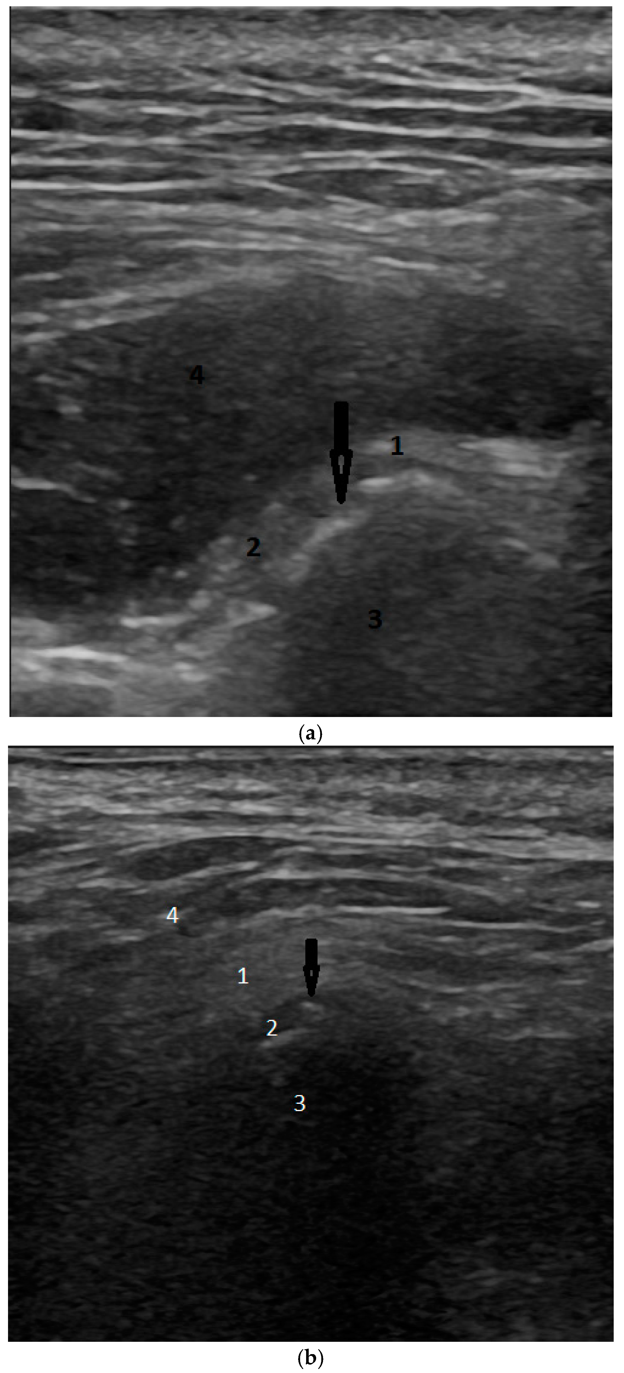 Biomedicines 12 02915 g002