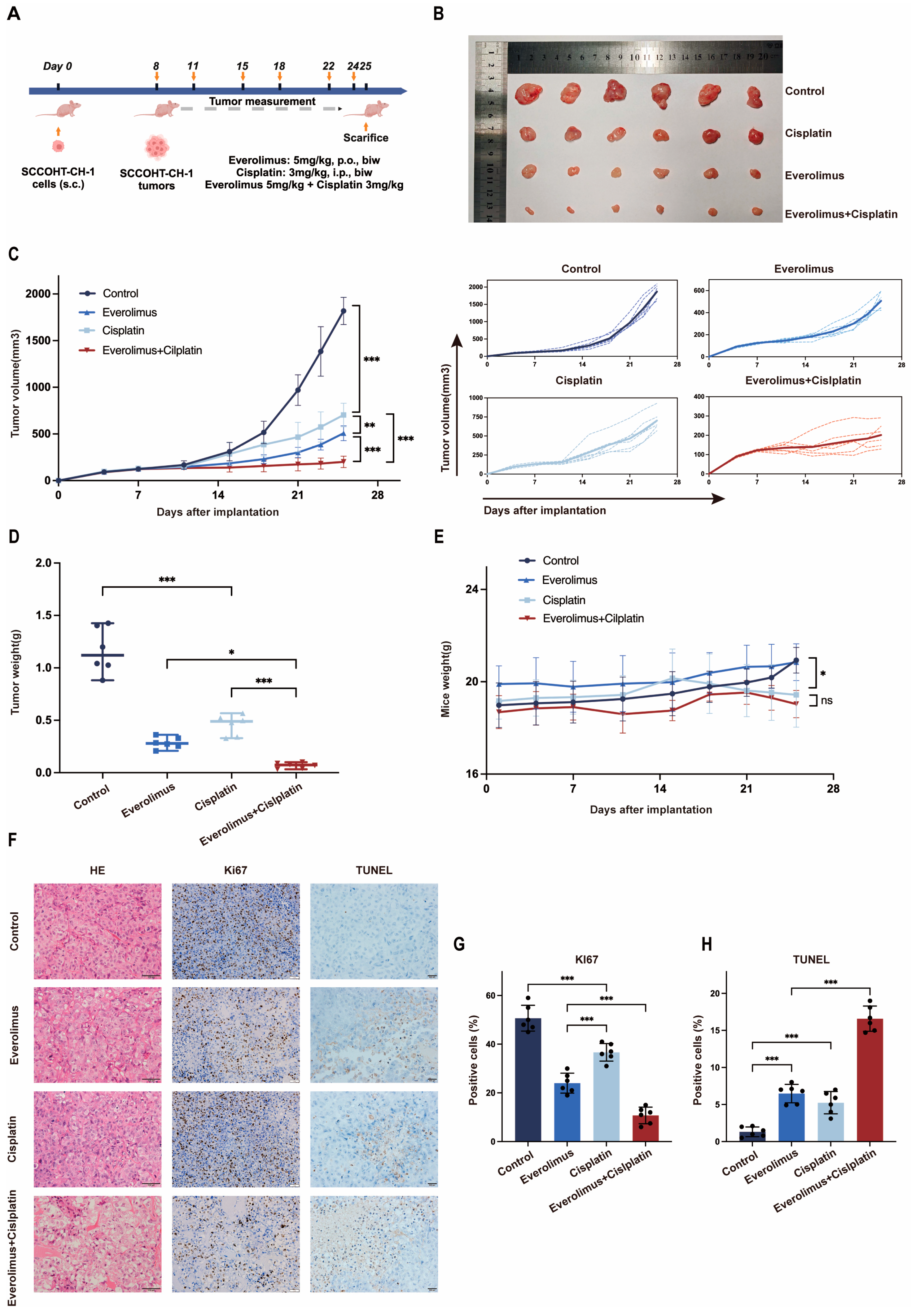Biomedicines 13 00001 g003