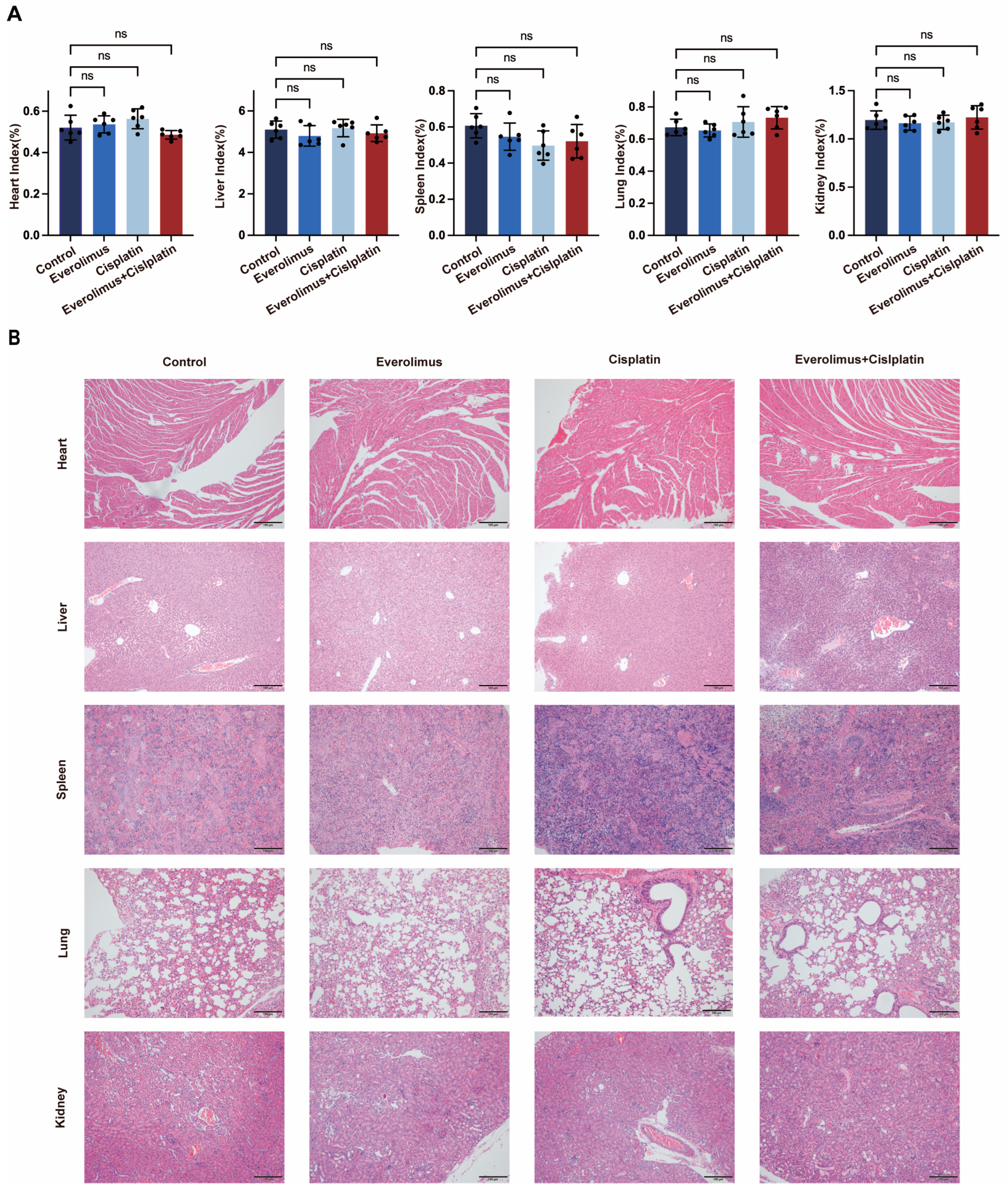 Biomedicines 13 00001 g004
