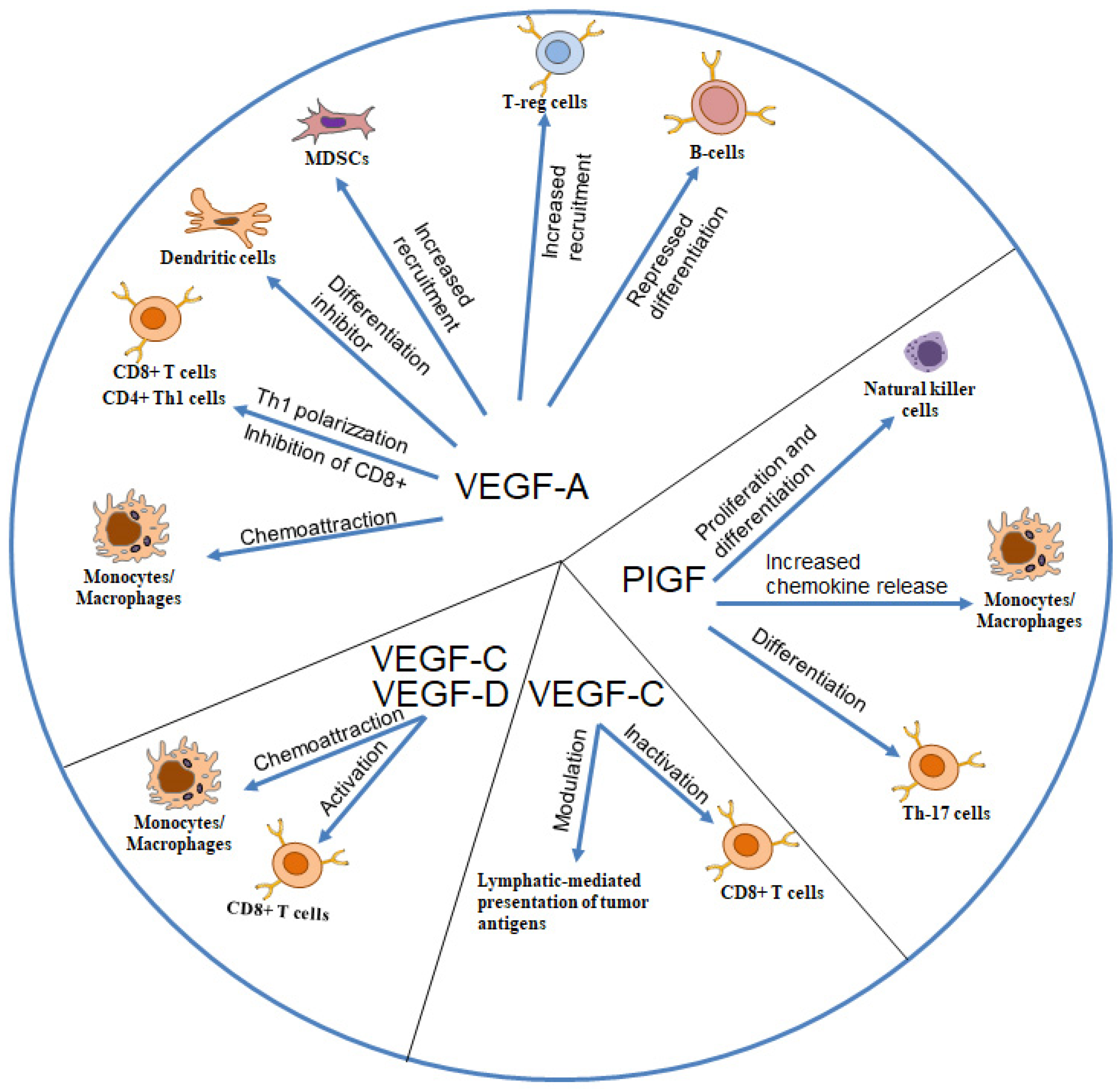 Biomedicines 13 00006 g001