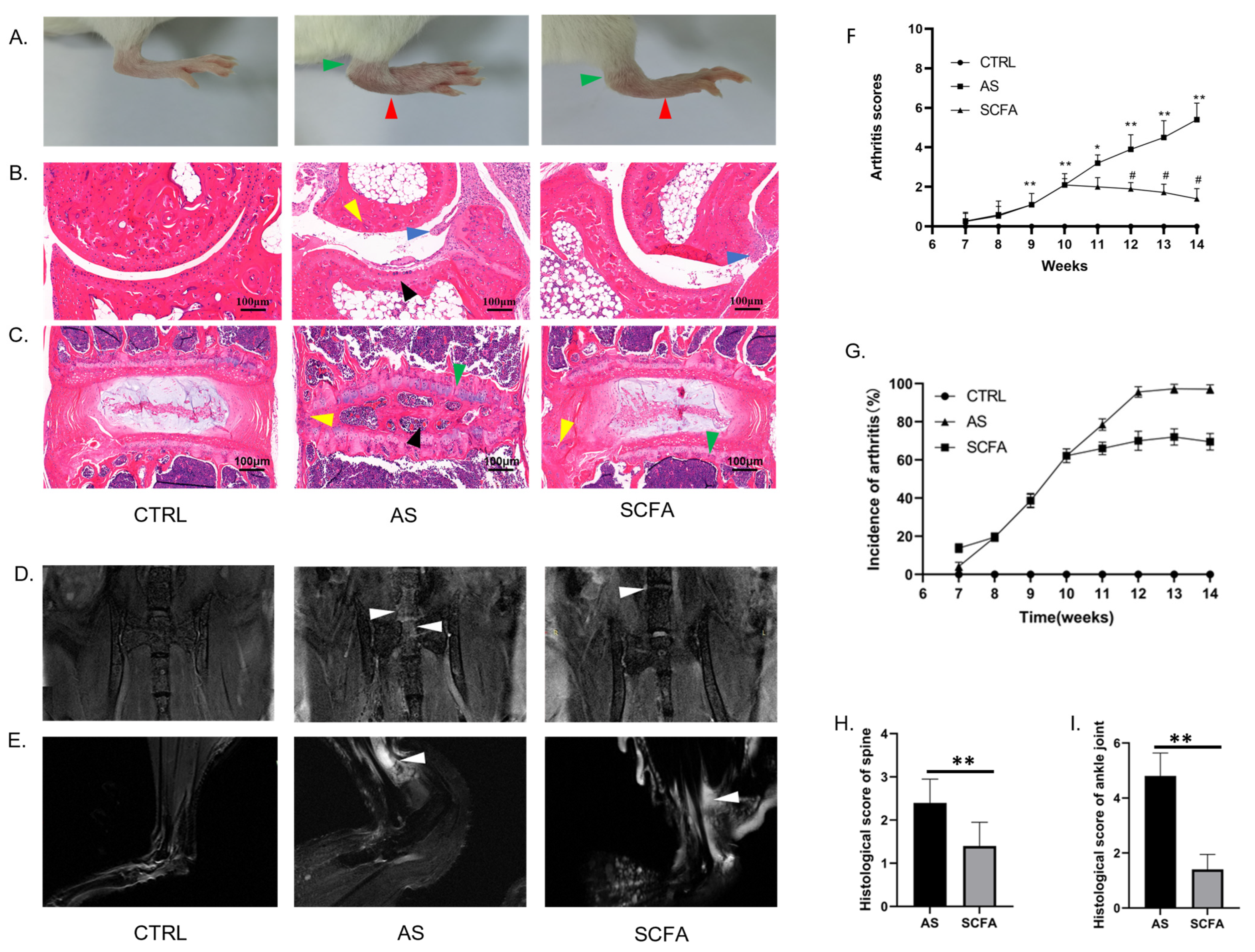 Biomedicines 13 00009 g002