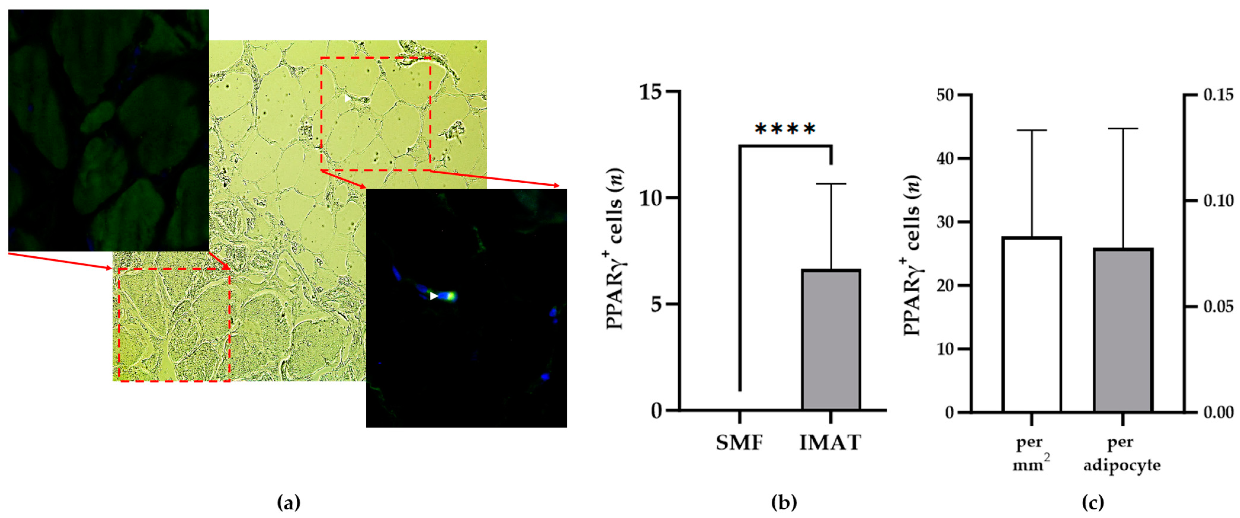 Biomedicines 13 00010 g002