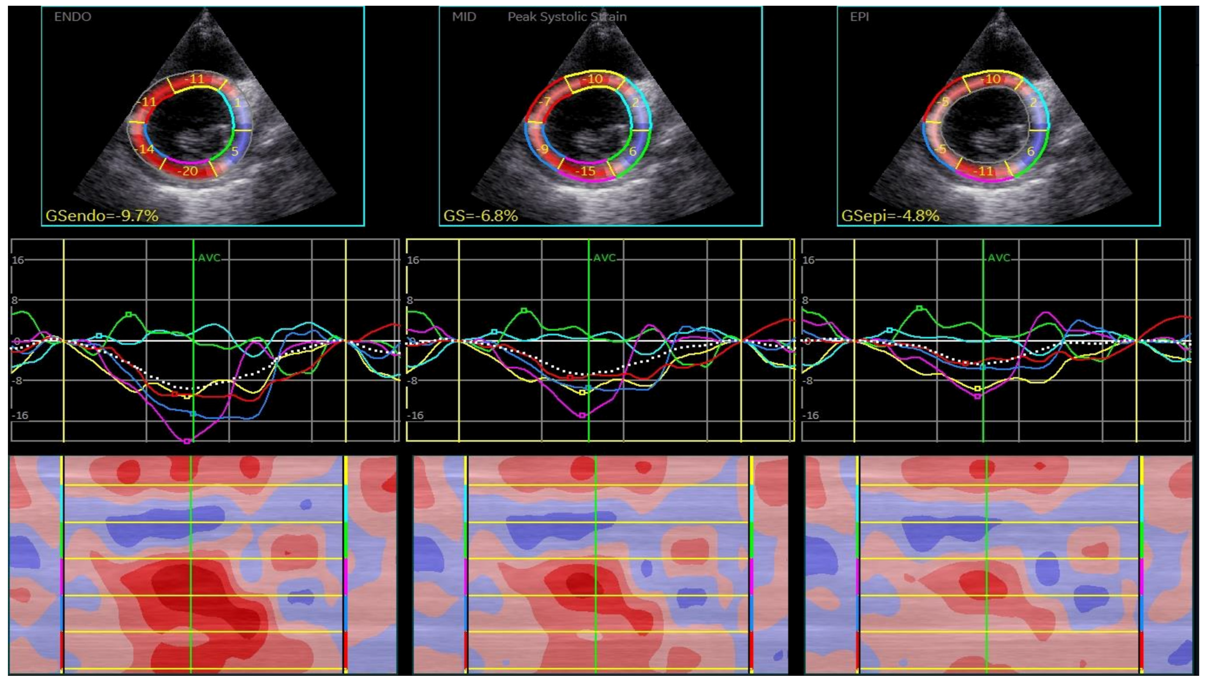 Biomedicines 13 00011 g002 Biomedicines 13 00011 g002