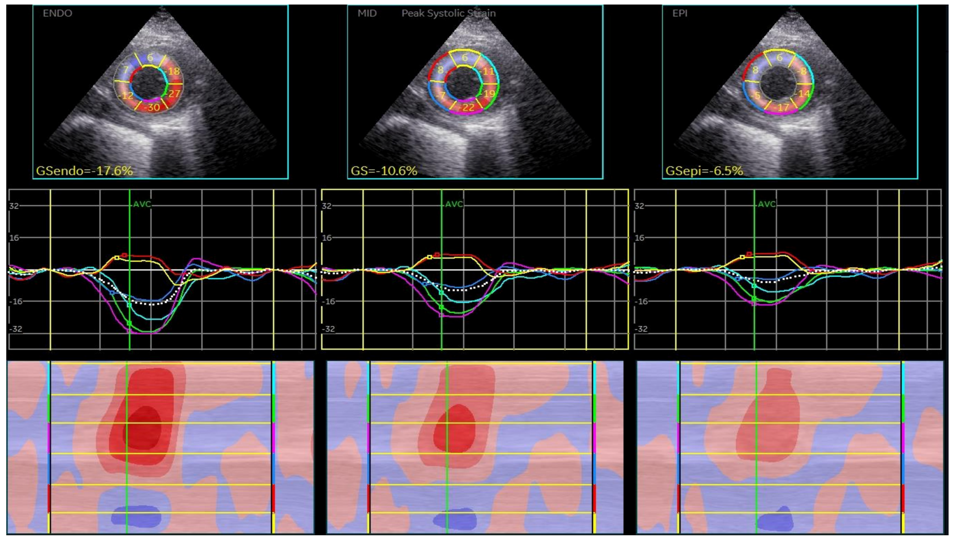 Biomedicines 13 00011 g004 Biomedicines 13 00011 g004