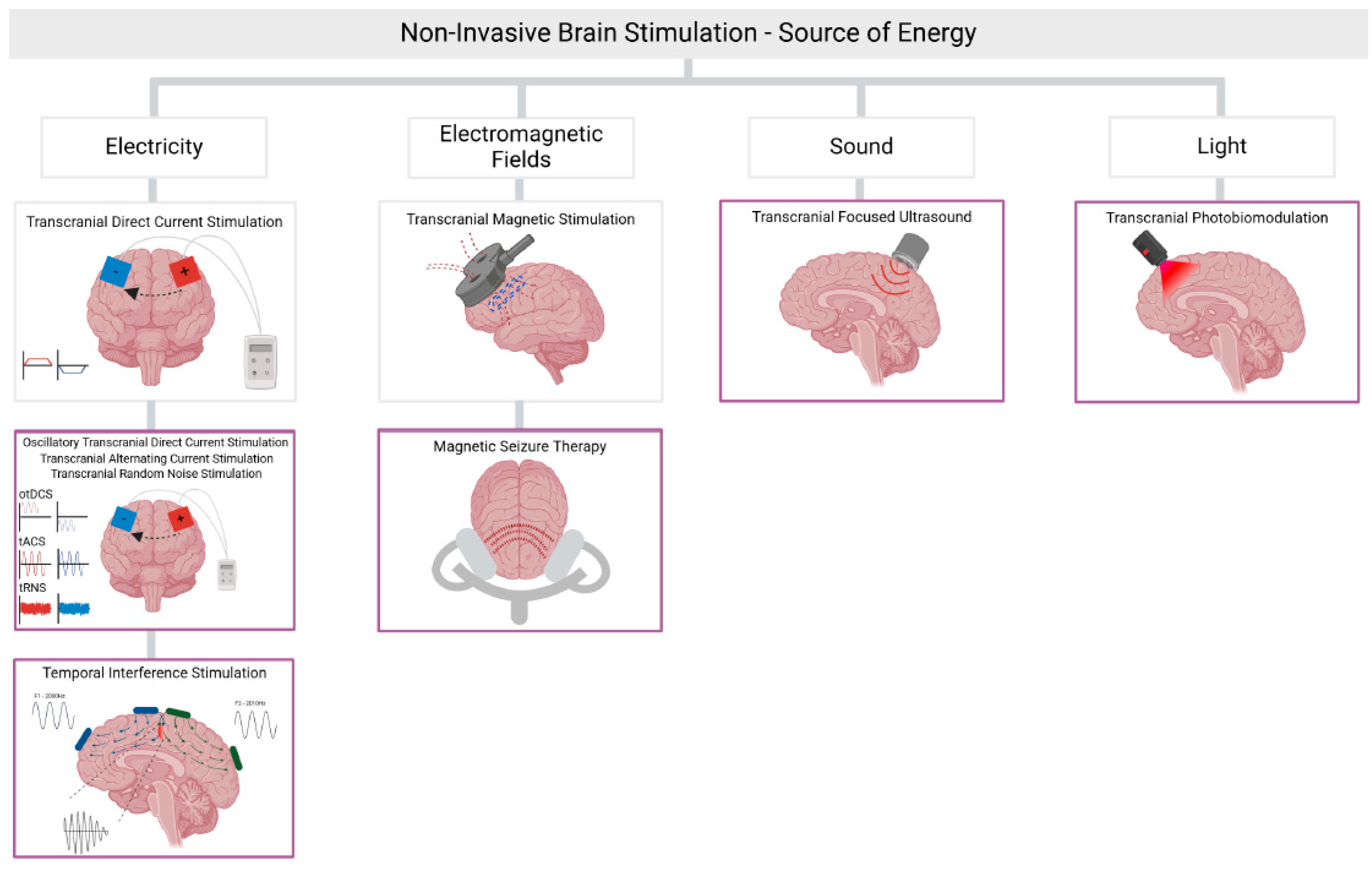 Biomedicines 13 00014 g001