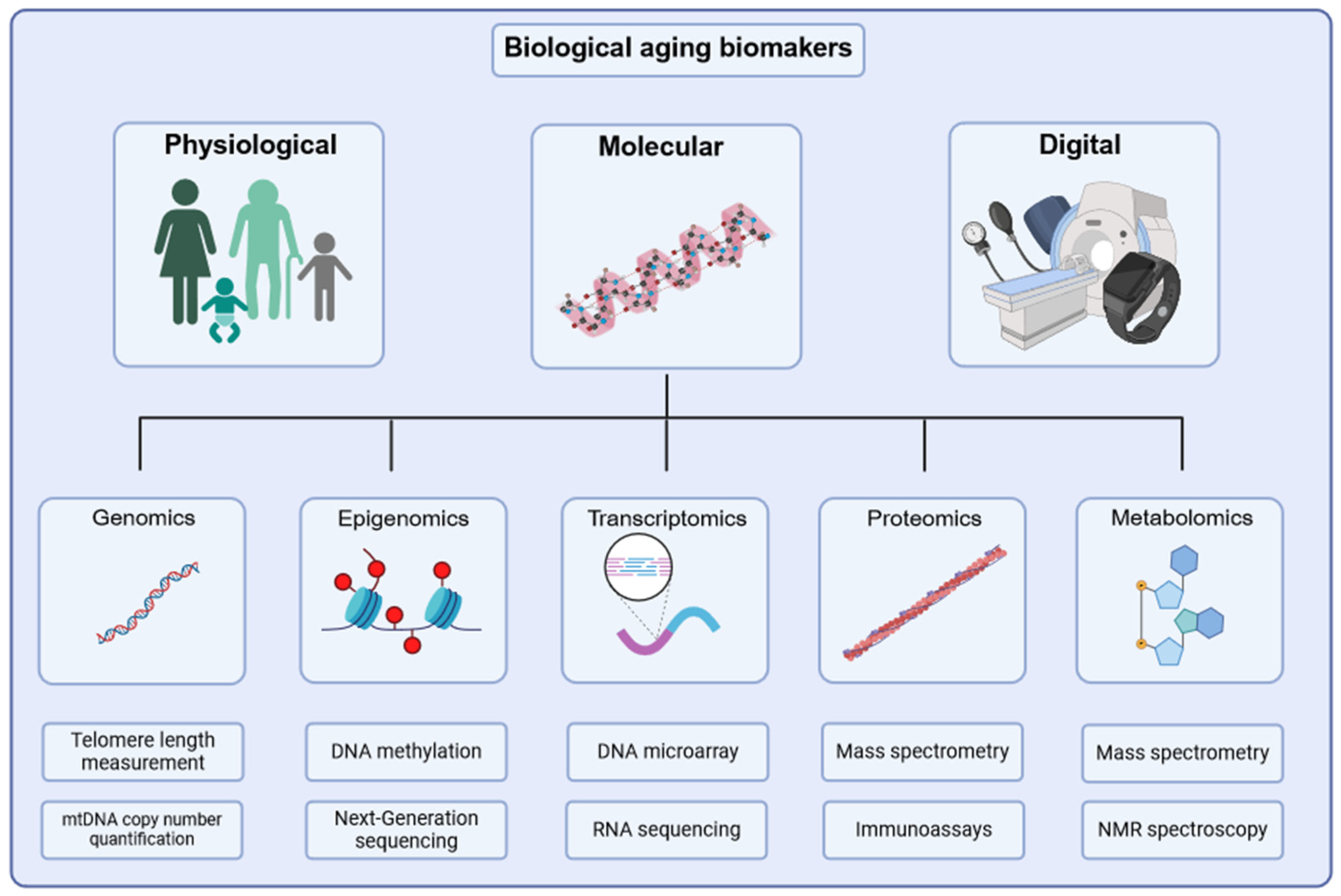 Biomedicines 13 00015 g001 Biomedicines 13 00015 g001