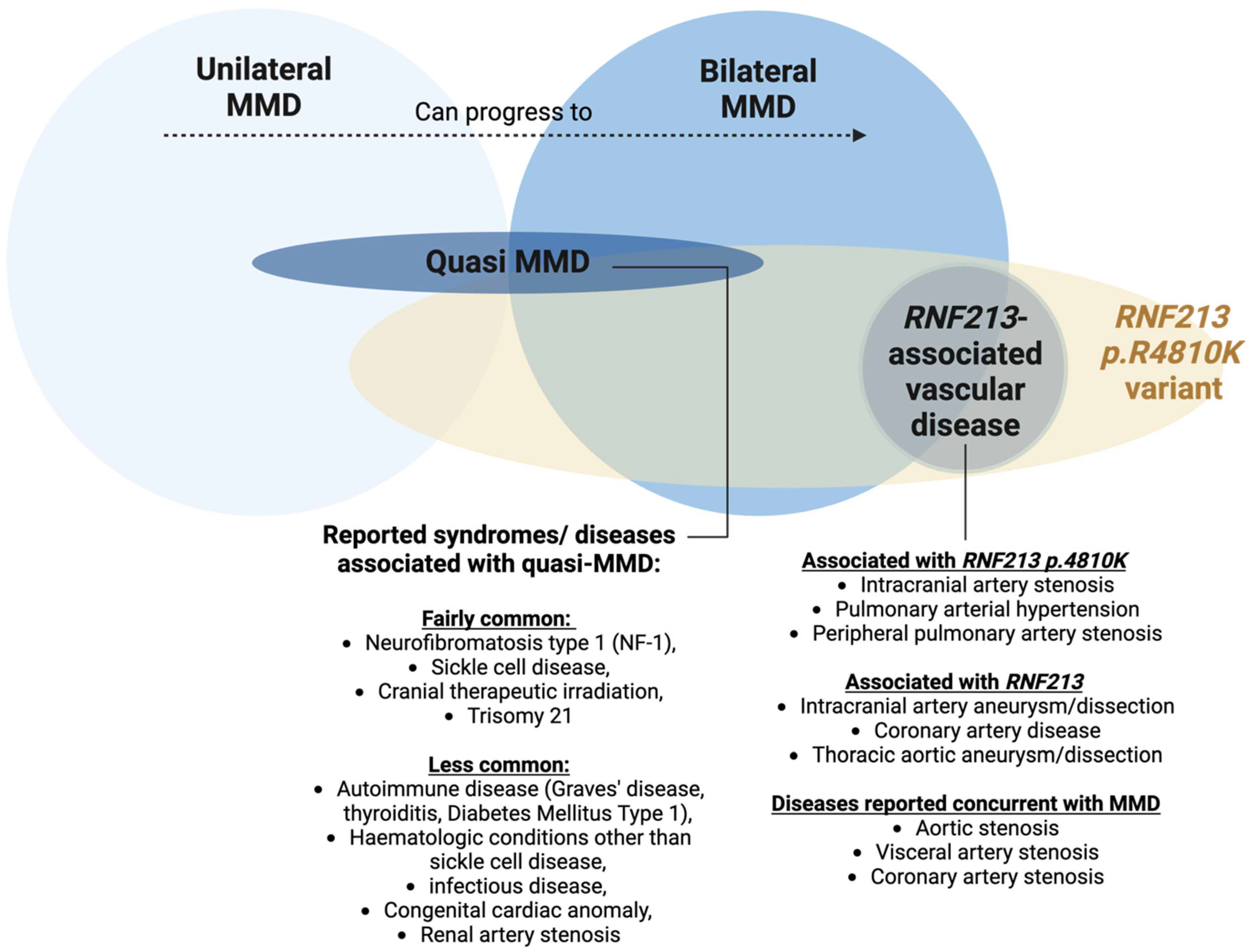 Biomedicines 13 00017 g002