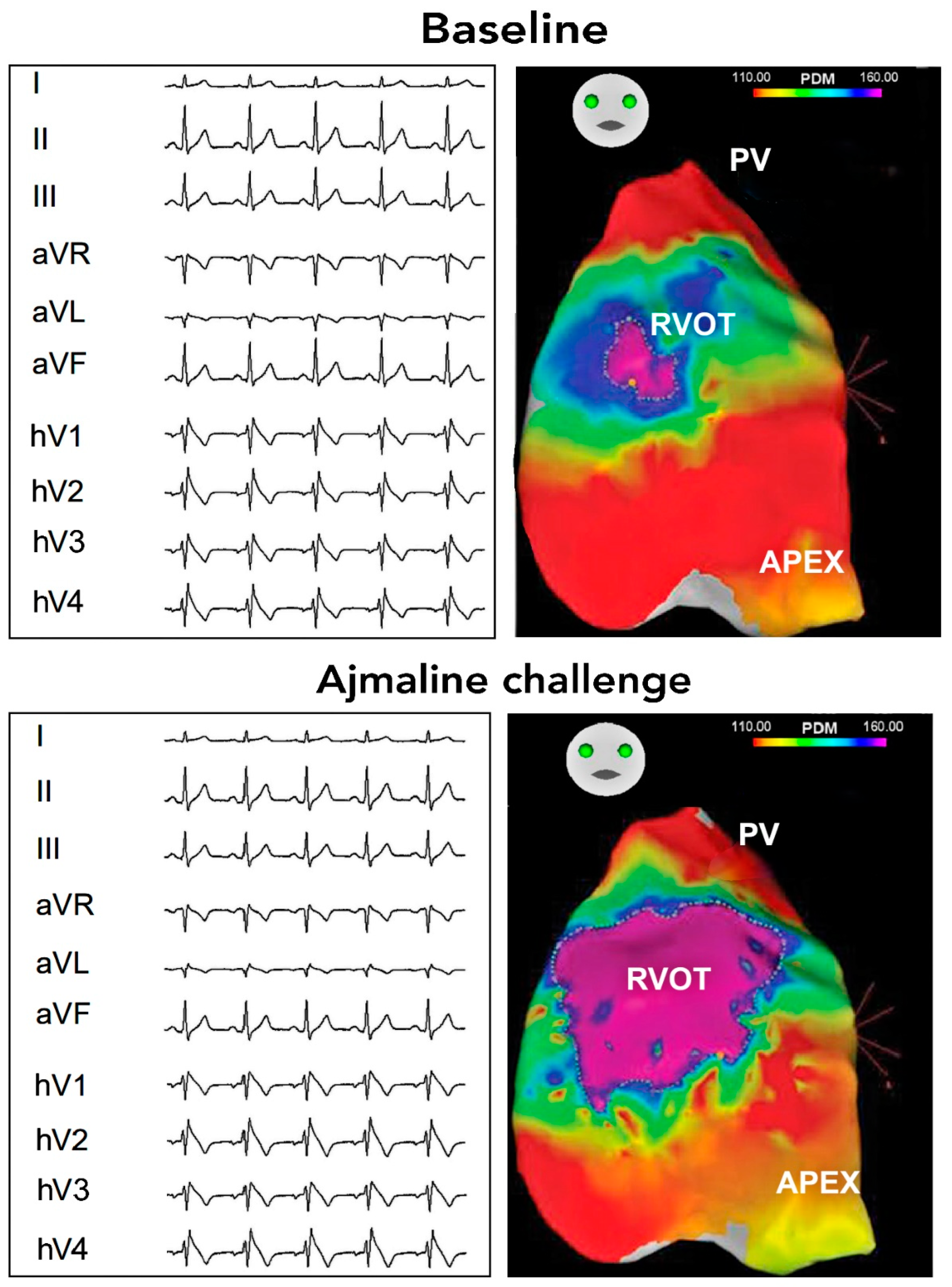 Biomedicines 13 00027 g002
