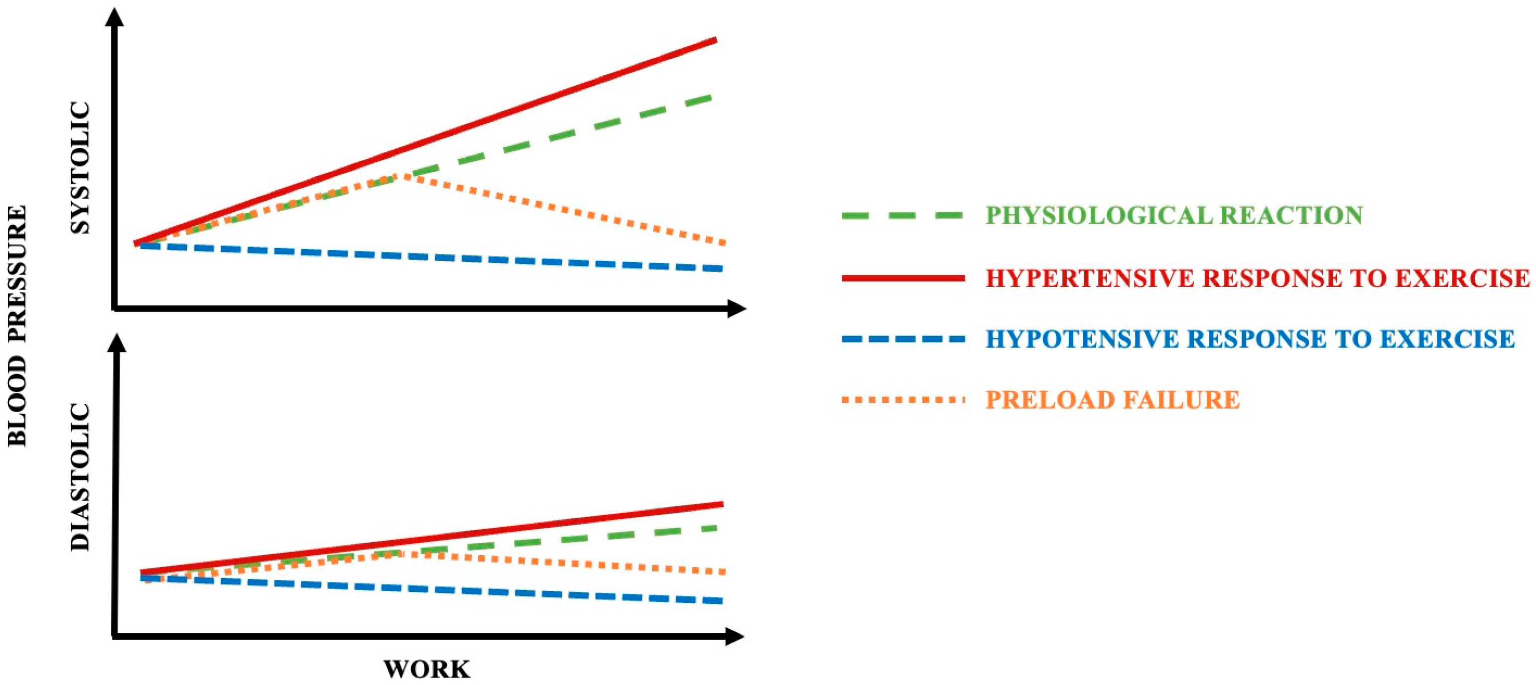 Biomedicines 13 00030 g001