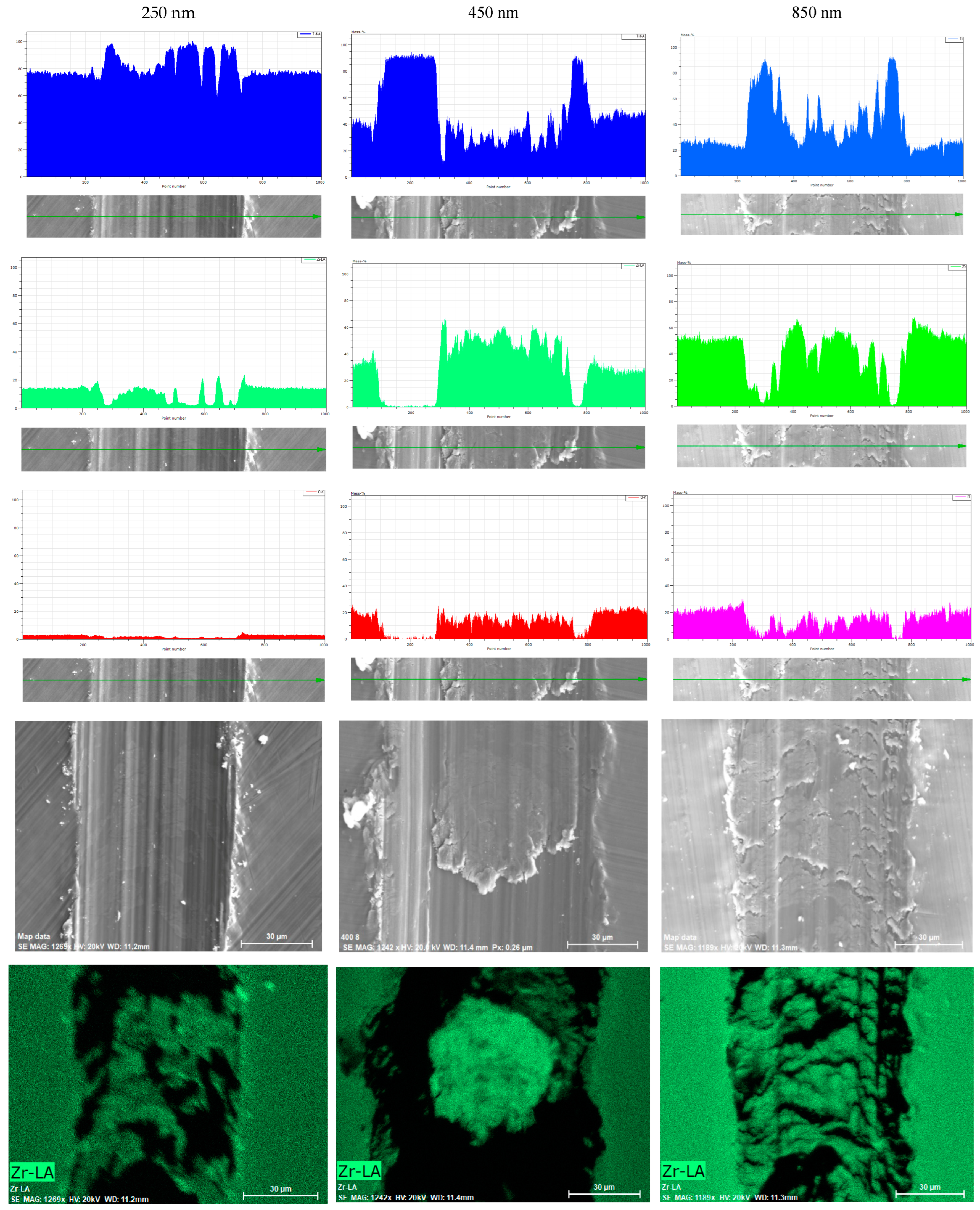 Biomedicines 13 00037 g007