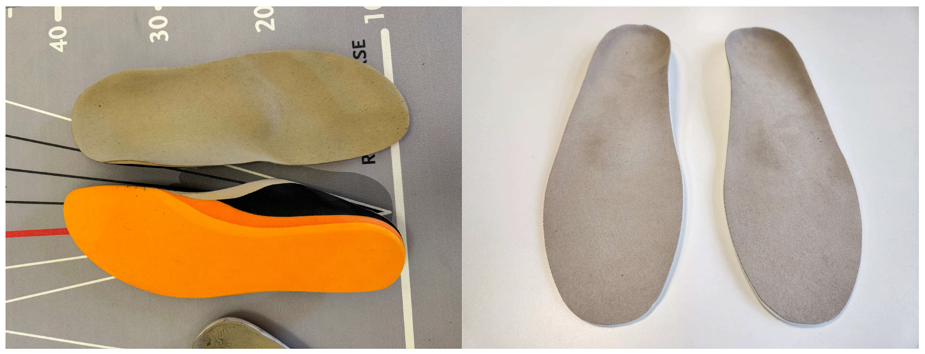 Biomedicines 13 00038 g001 Biomedicines 13 00038 g001