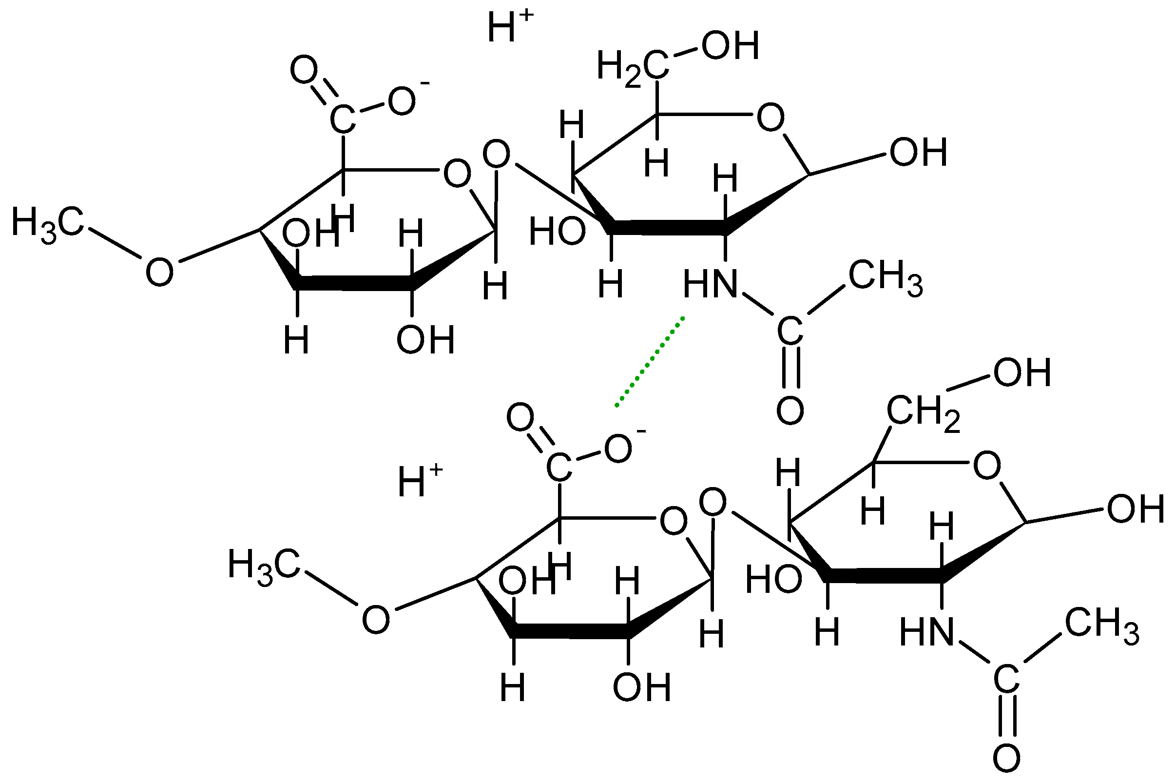 Biomedicines 13 00039 g008 Biomedicines 13 00039 g008
