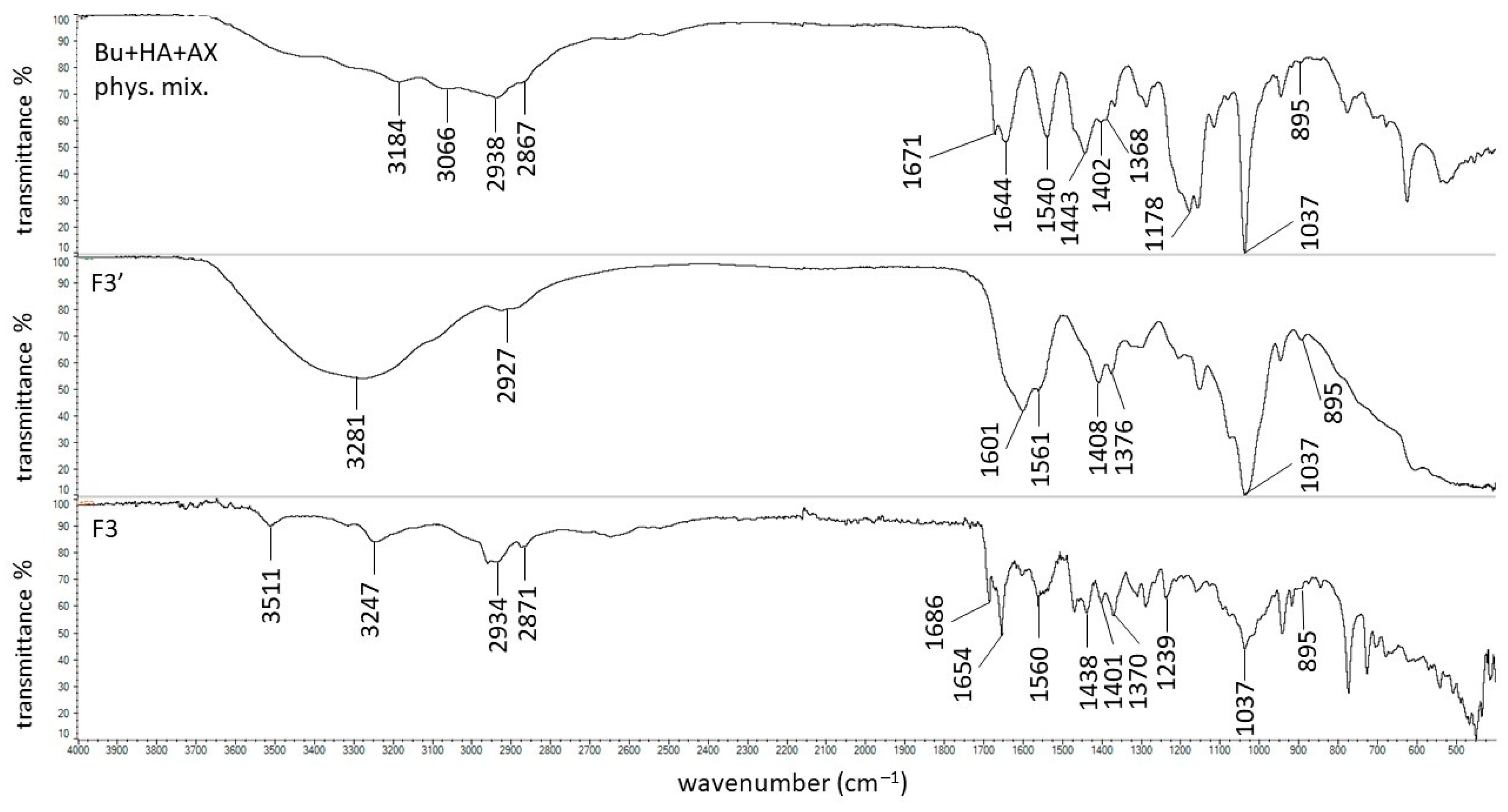 Biomedicines 13 00039 g013 Biomedicines 13 00039 g013