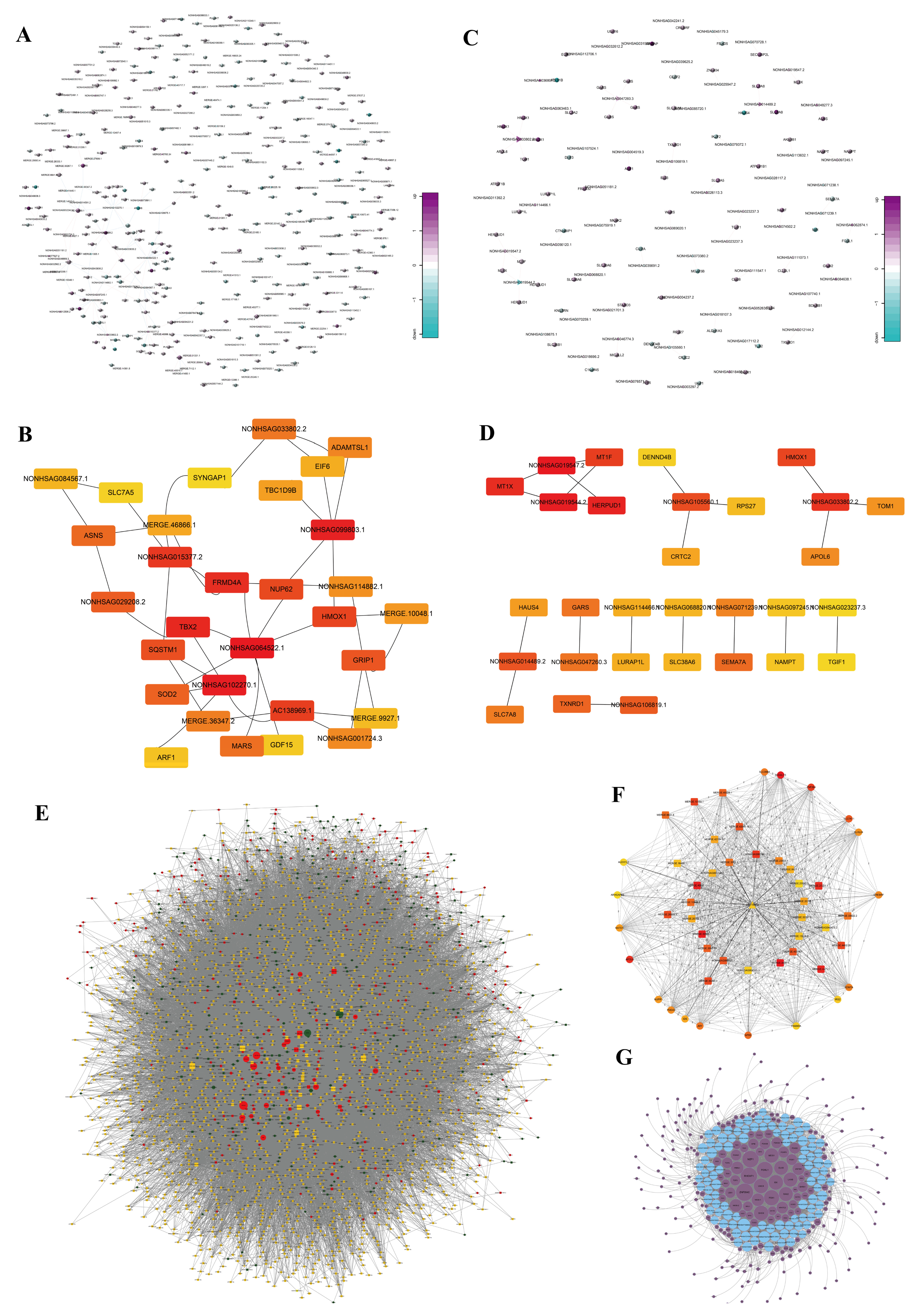 Biomedicines 13 00041 g002