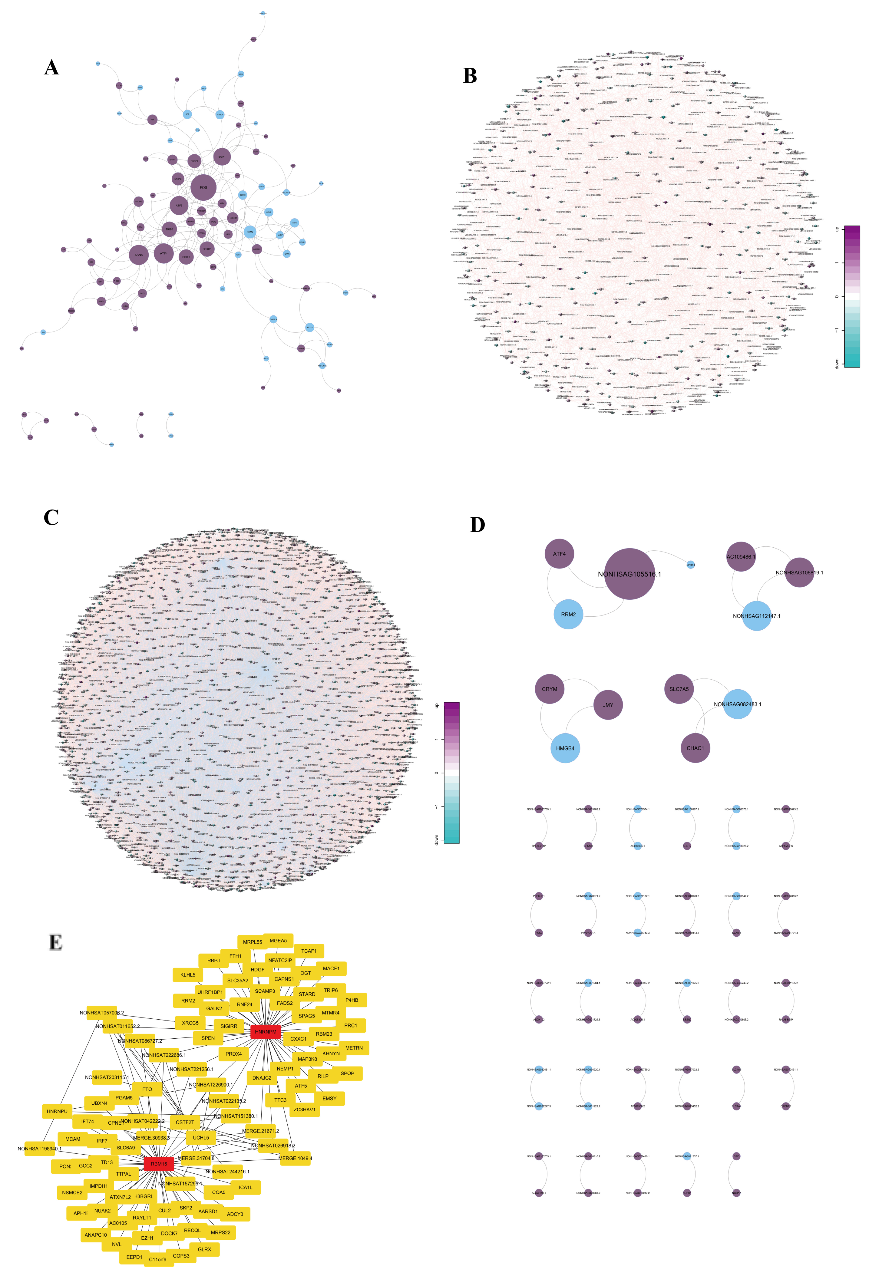 Biomedicines 13 00041 g004