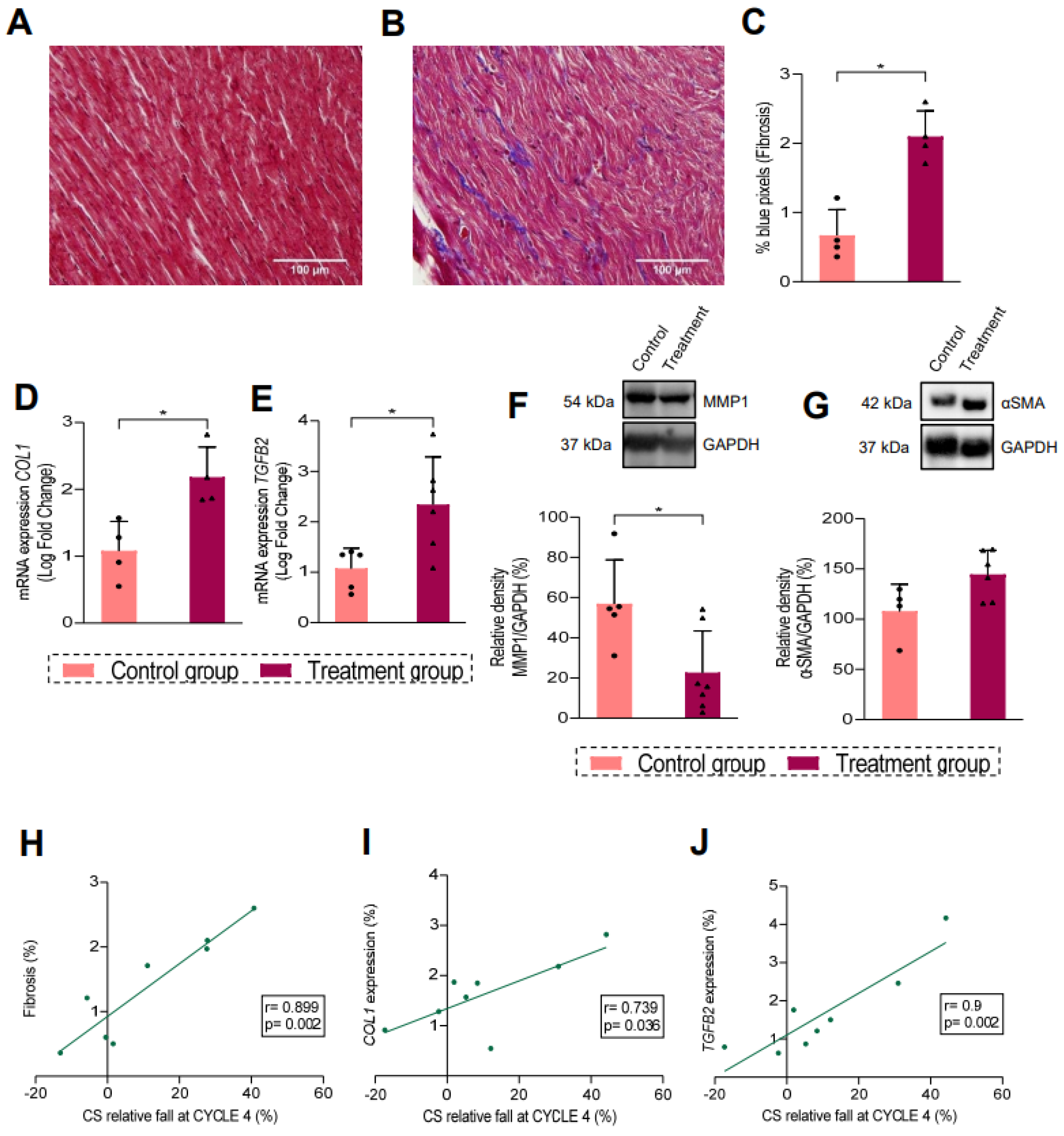 Biomedicines 13 00045 g003