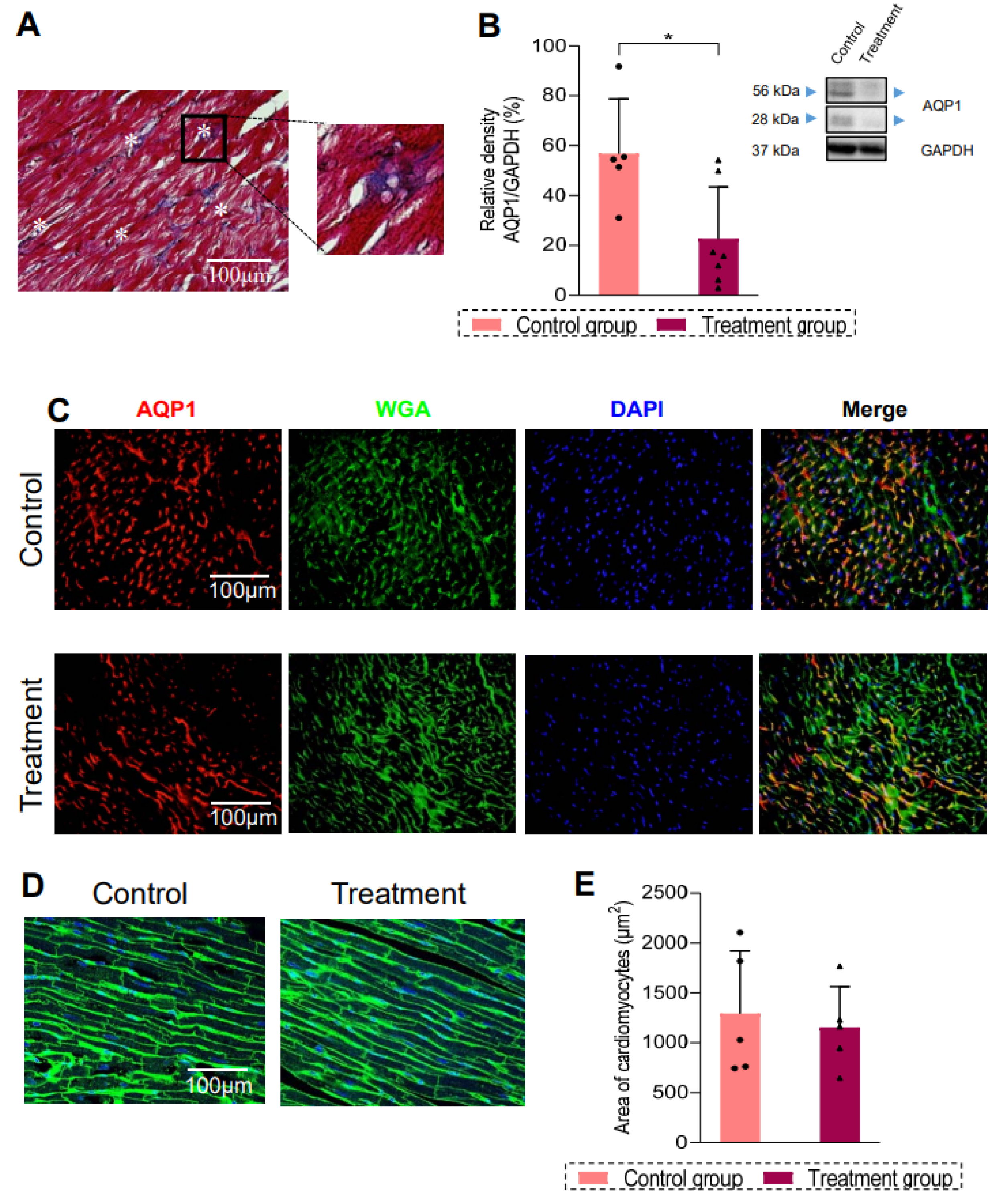 Biomedicines 13 00045 g004