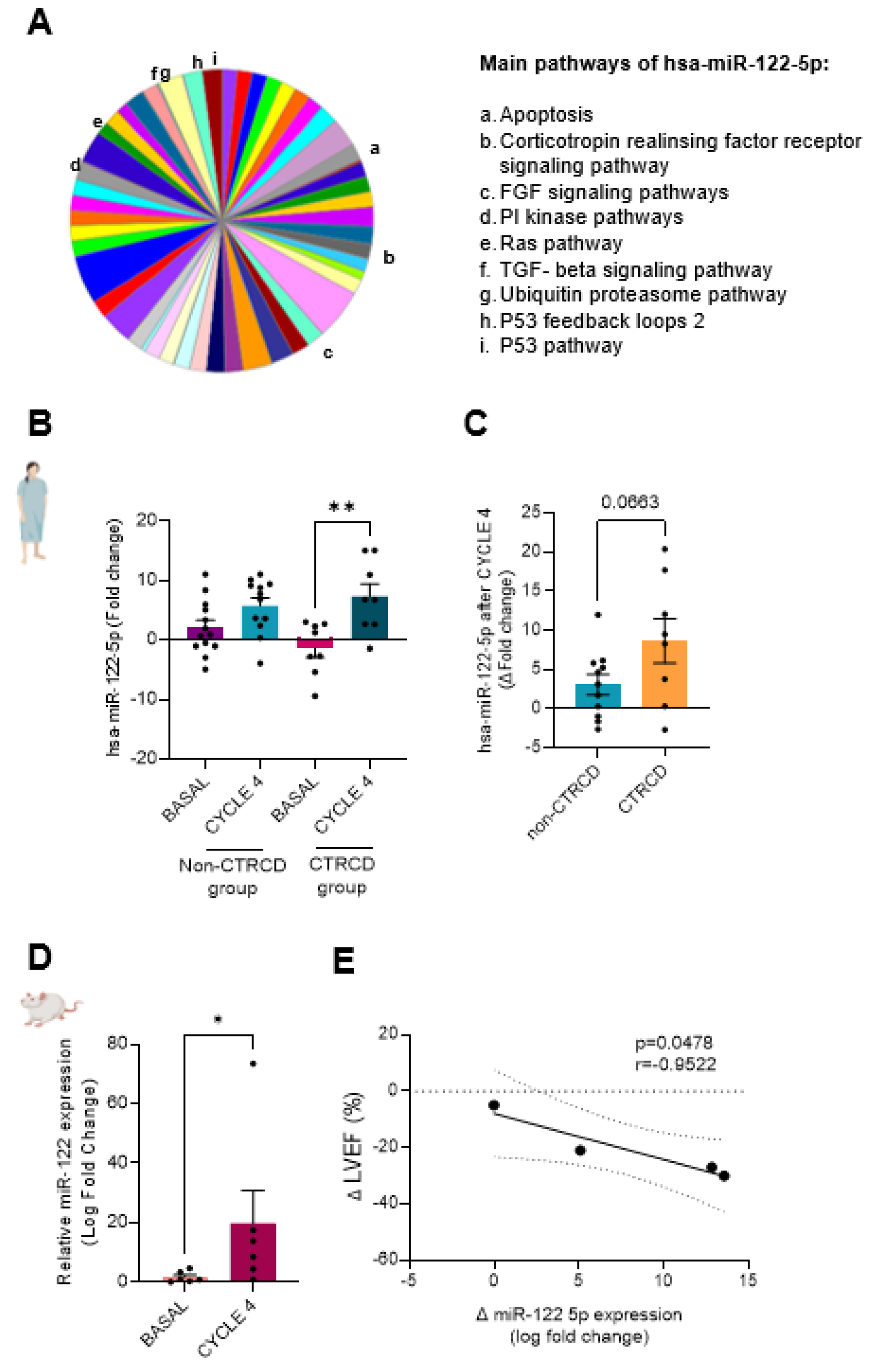 Biomedicines 13 00045 g006