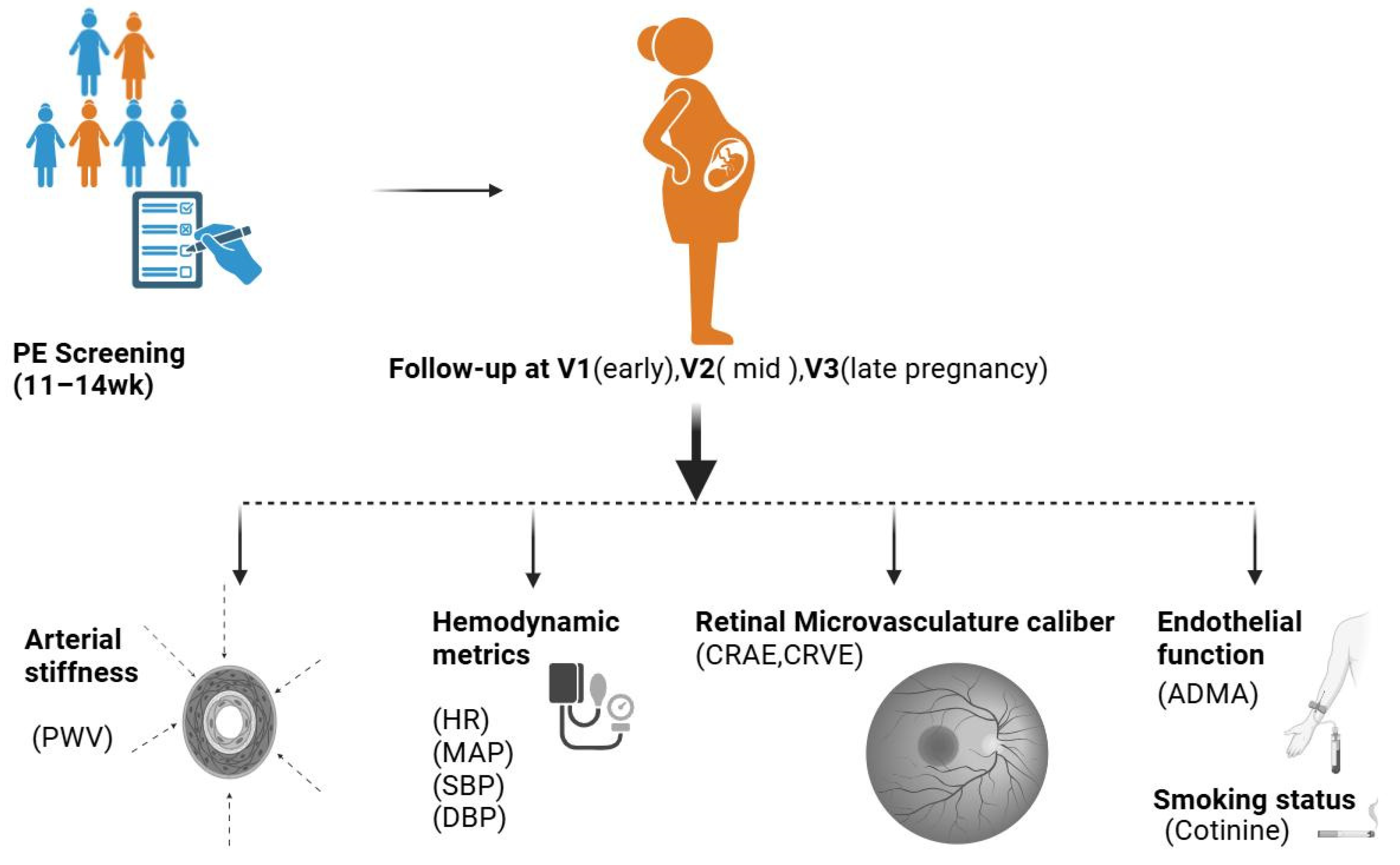 Biomedicines 13 00052 g001