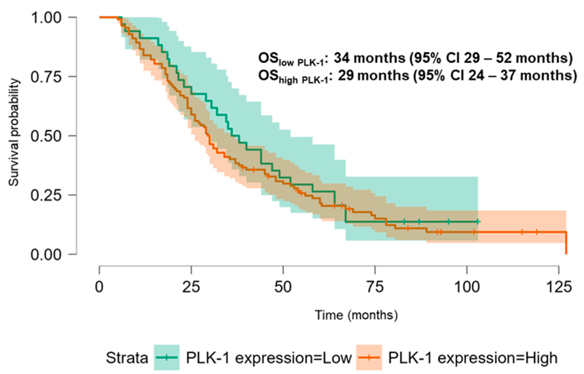 Biomedicines 13 00054 g006
