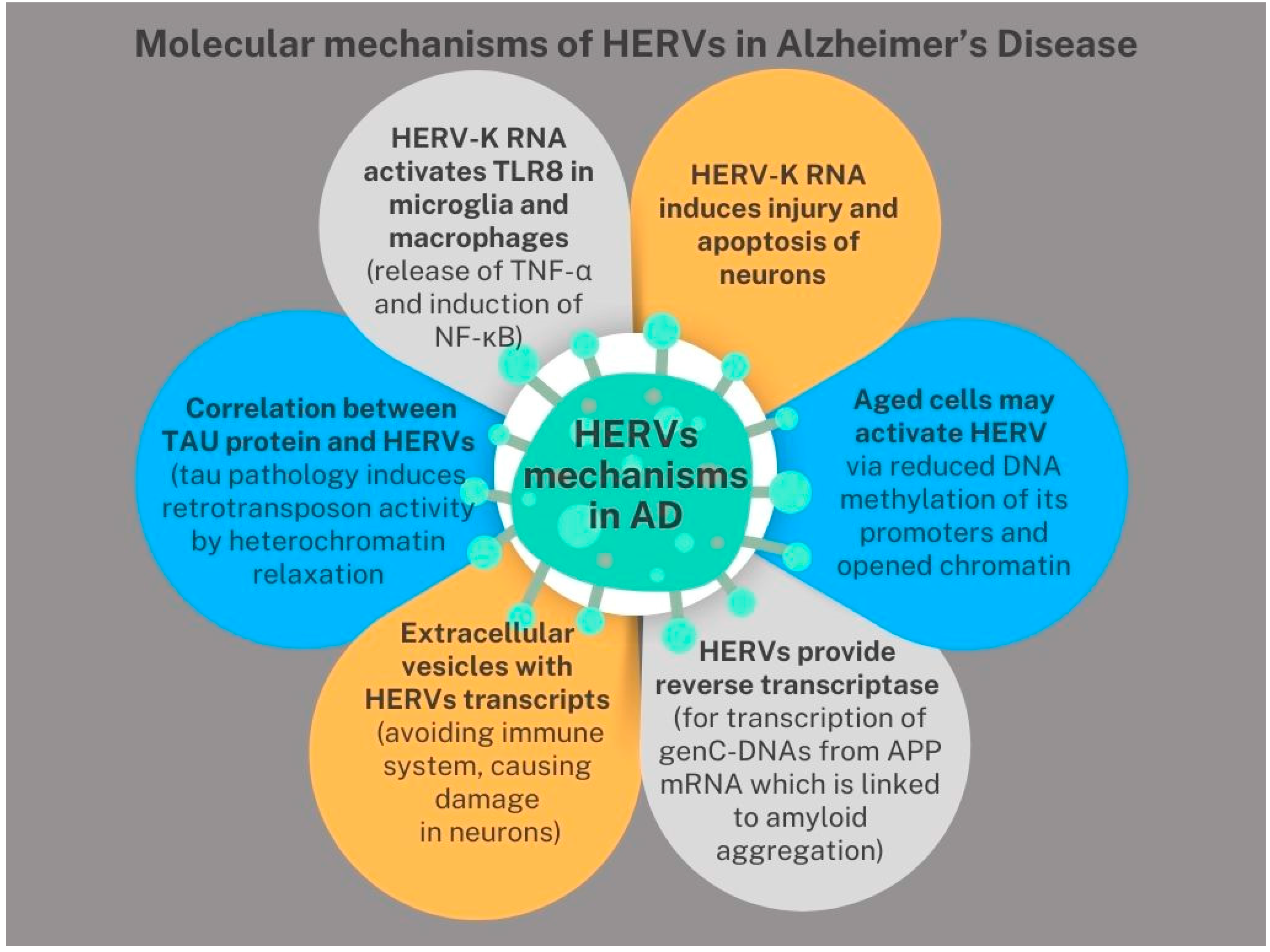 Biomedicines 13 00059 g003