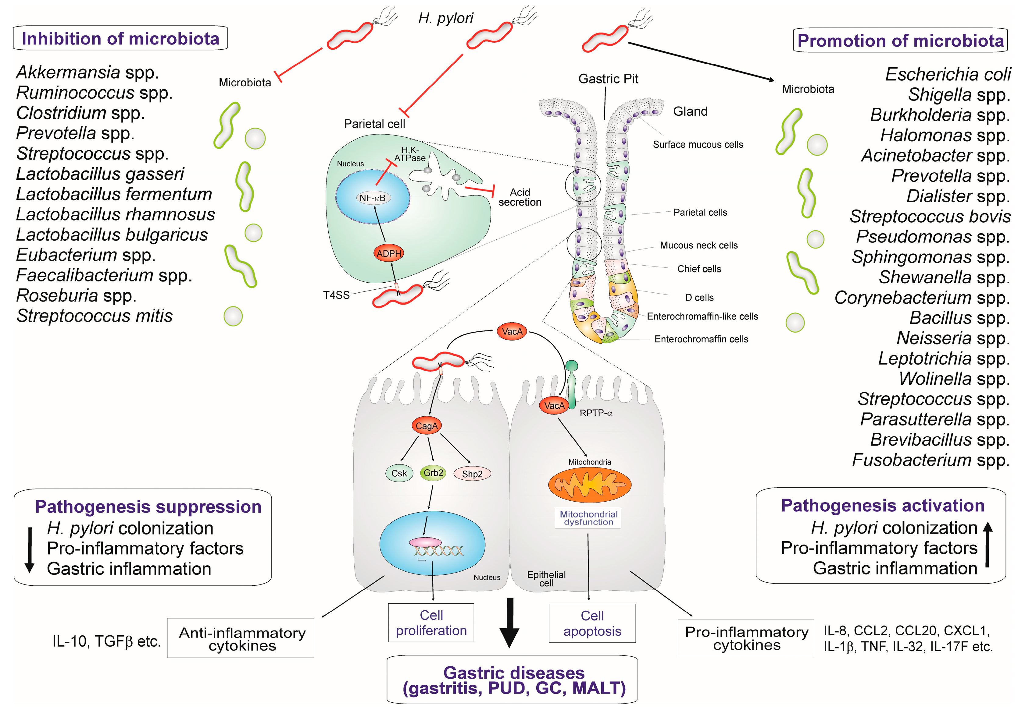 Biomedicines 13 00061 g002 Biomedicines 13 00061 g002