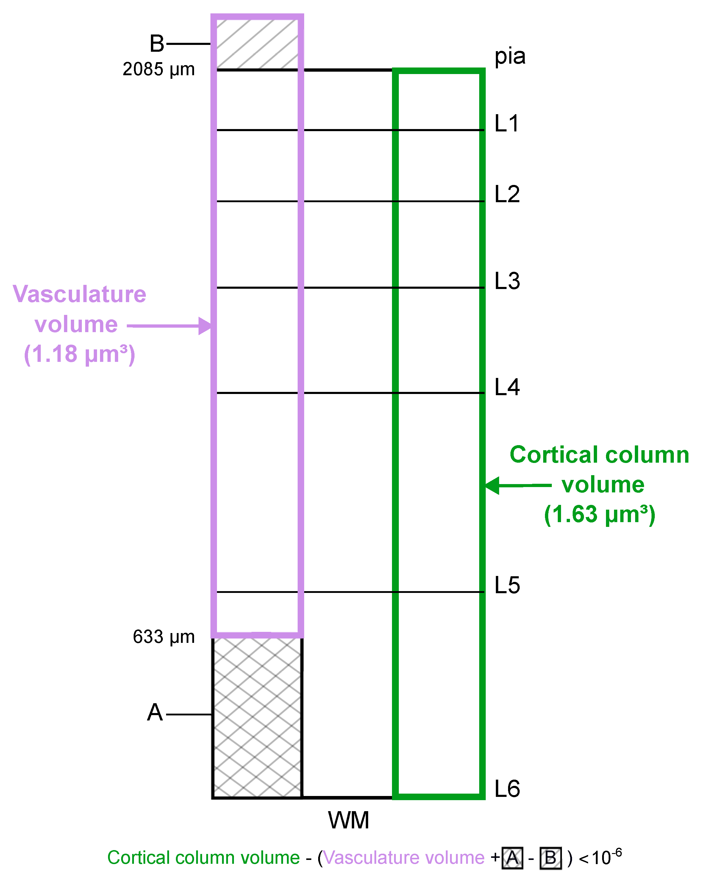 Biomedicines 13 00072 g0a5