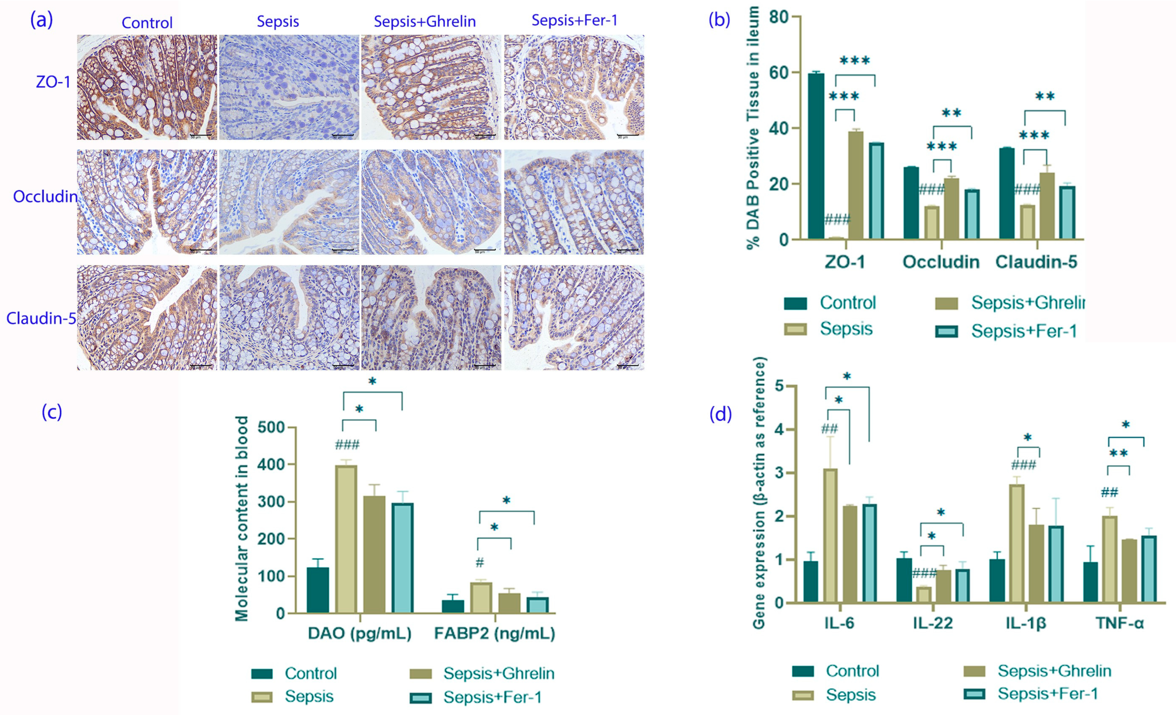 Biomedicines 13 00077 g003