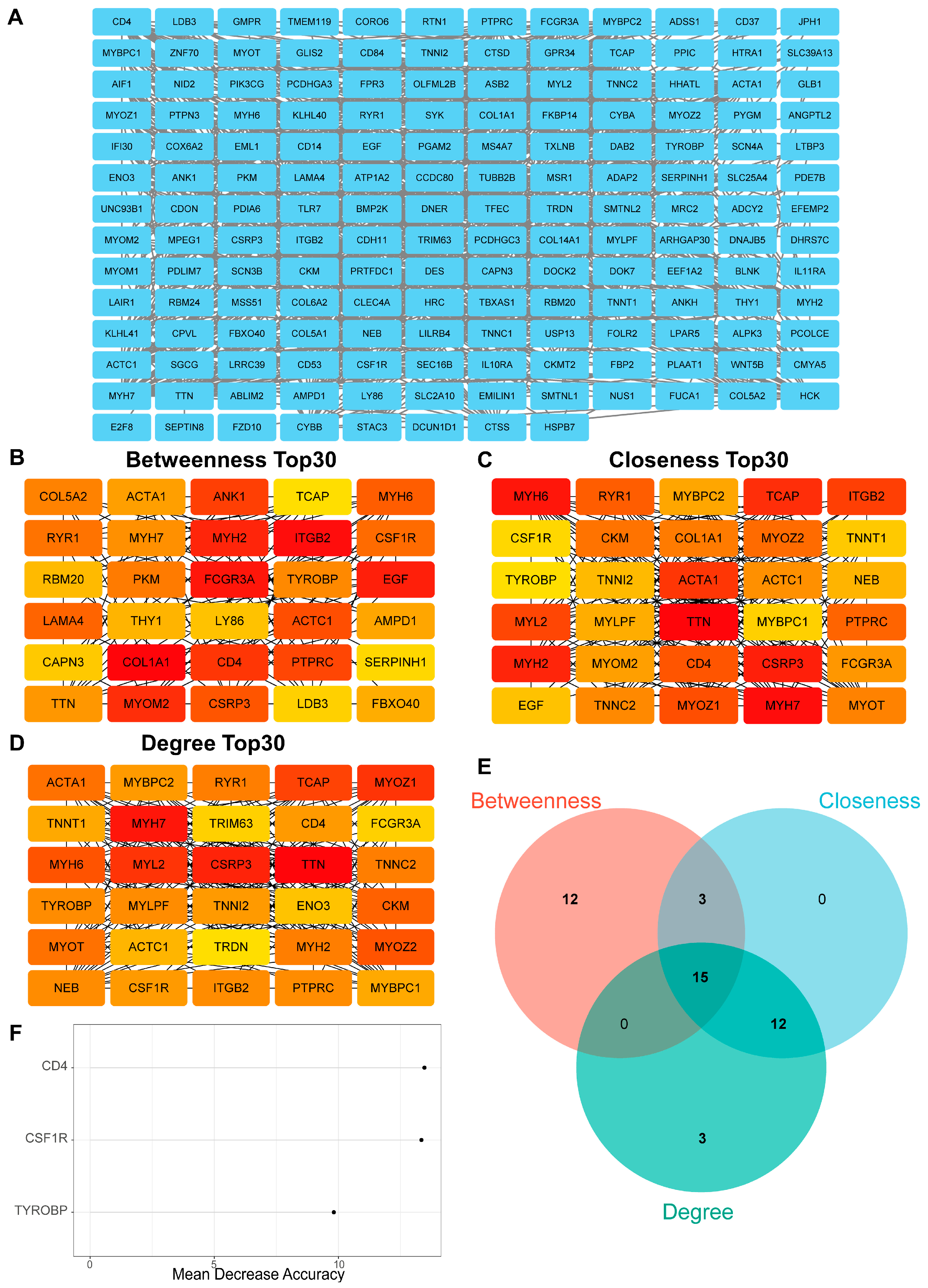 Biomedicines 13 00090 g004