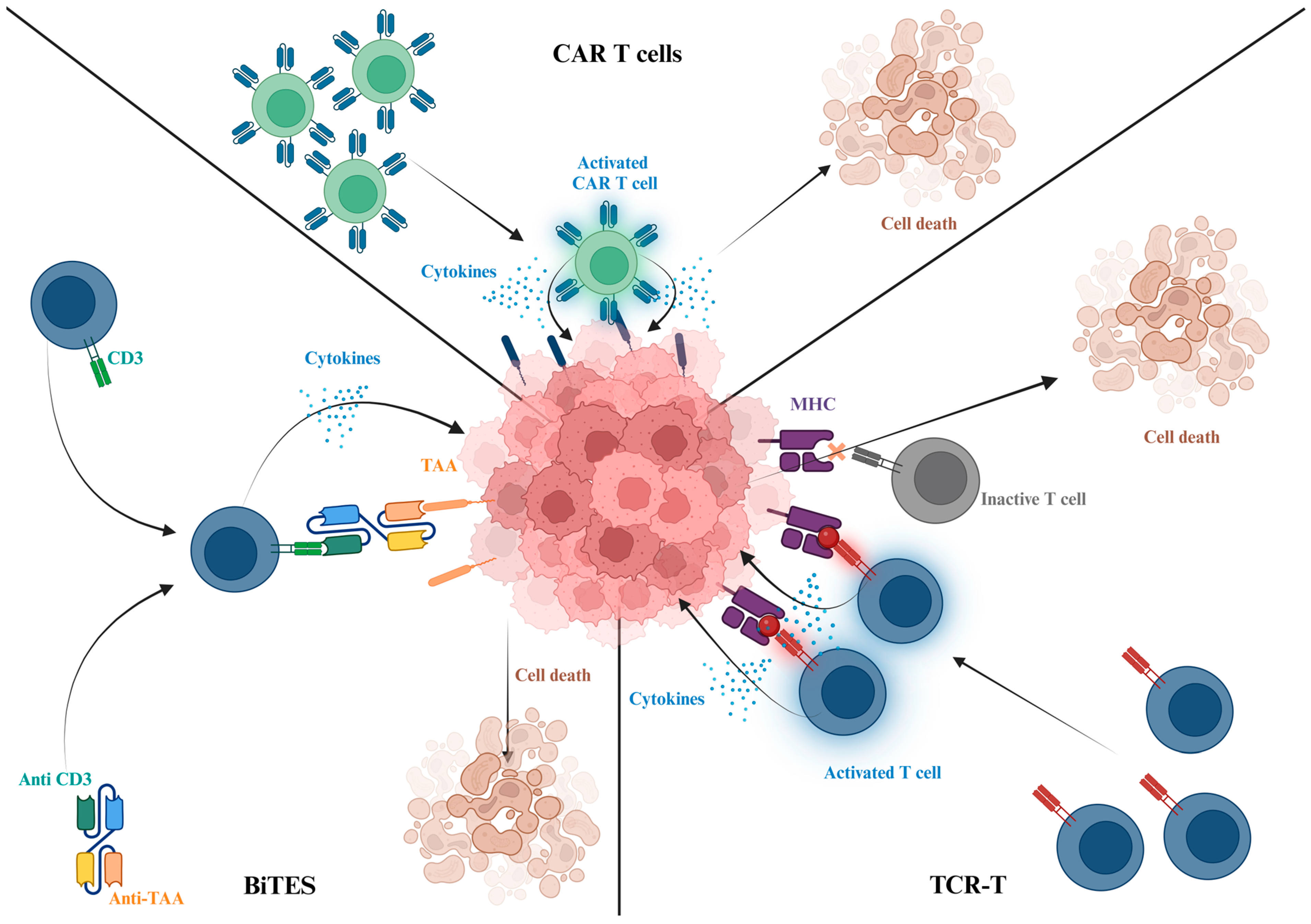 Biomedicines 13 00098 g003