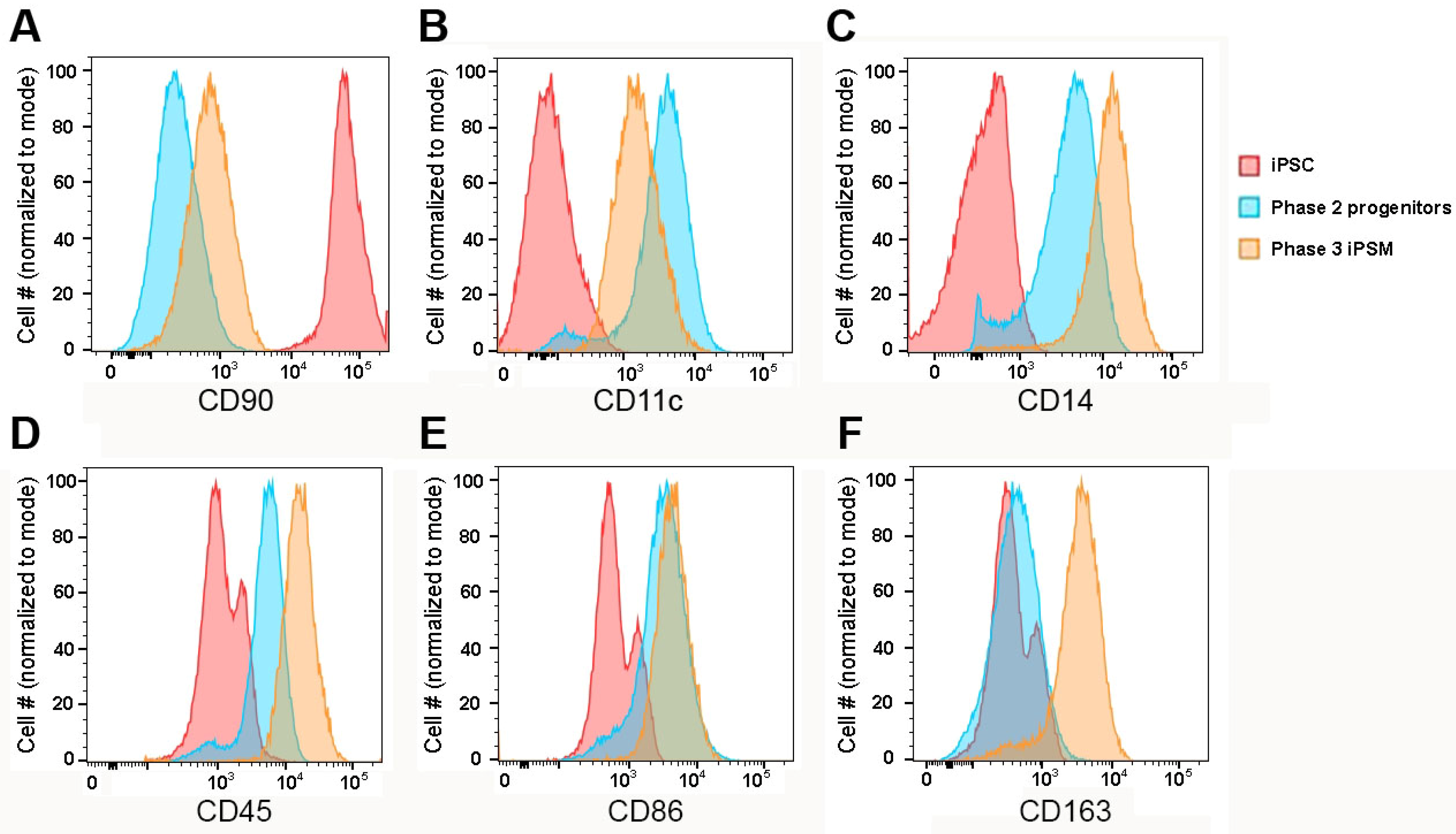 Biomedicines 13 00099 g003 Biomedicines 13 00099 g003