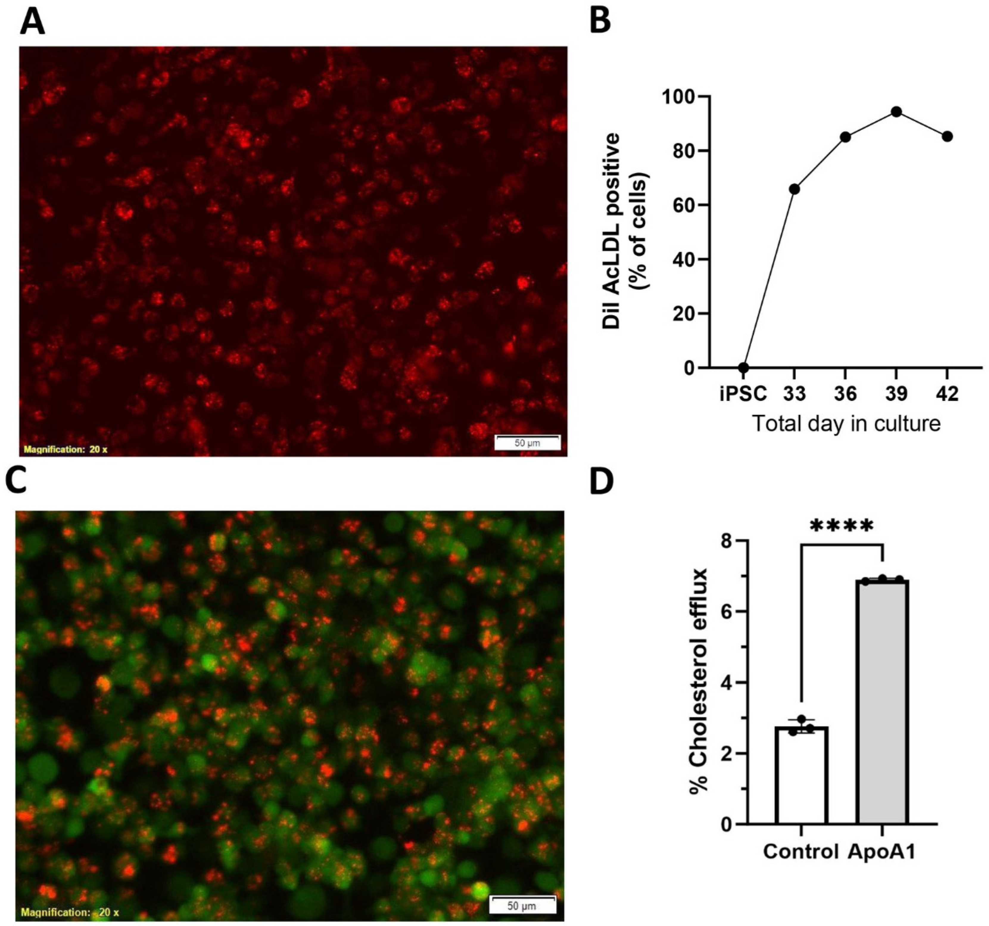 Biomedicines 13 00099 g005 Biomedicines 13 00099 g005