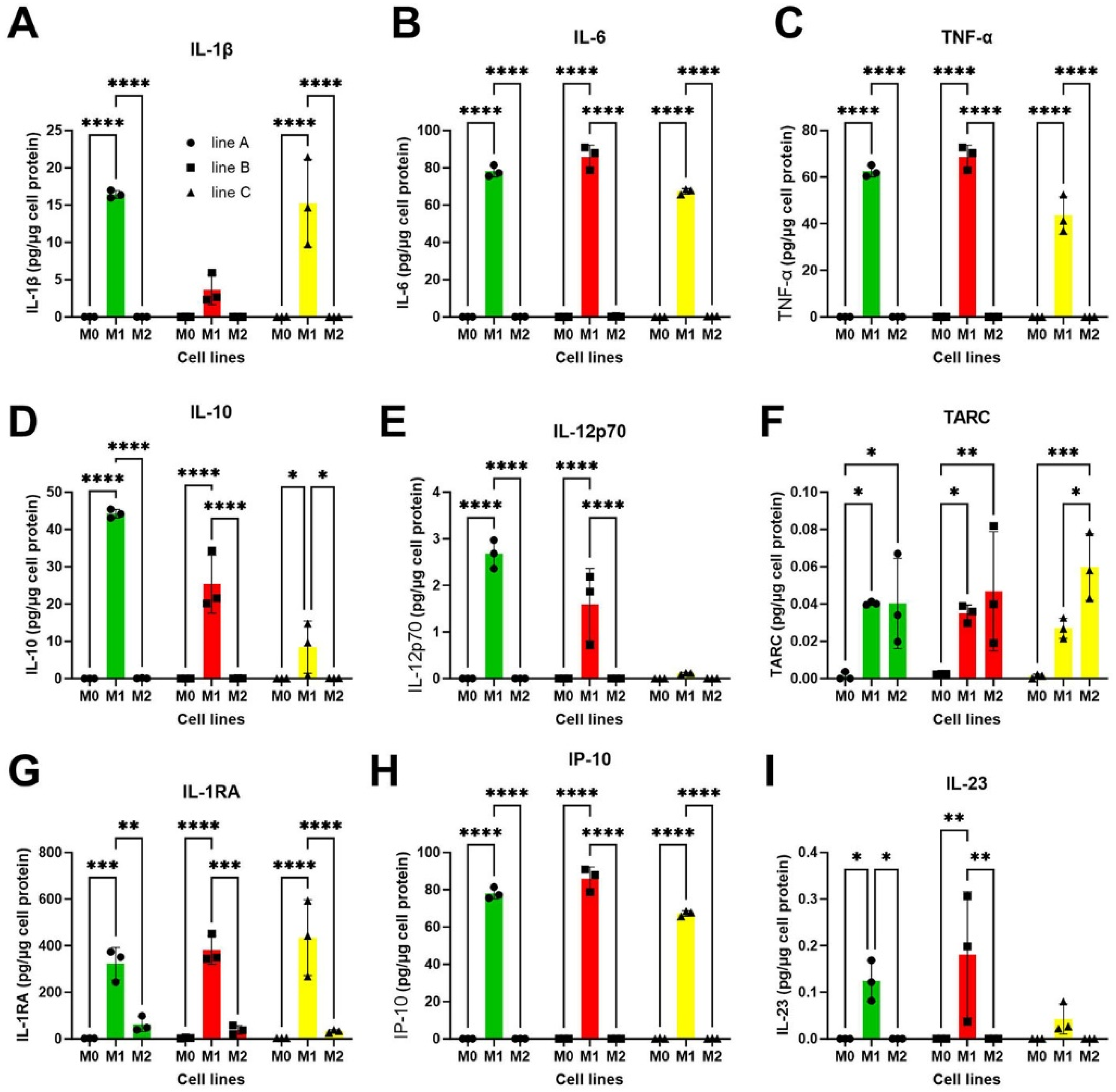 Biomedicines 13 00099 g006 Biomedicines 13 00099 g006