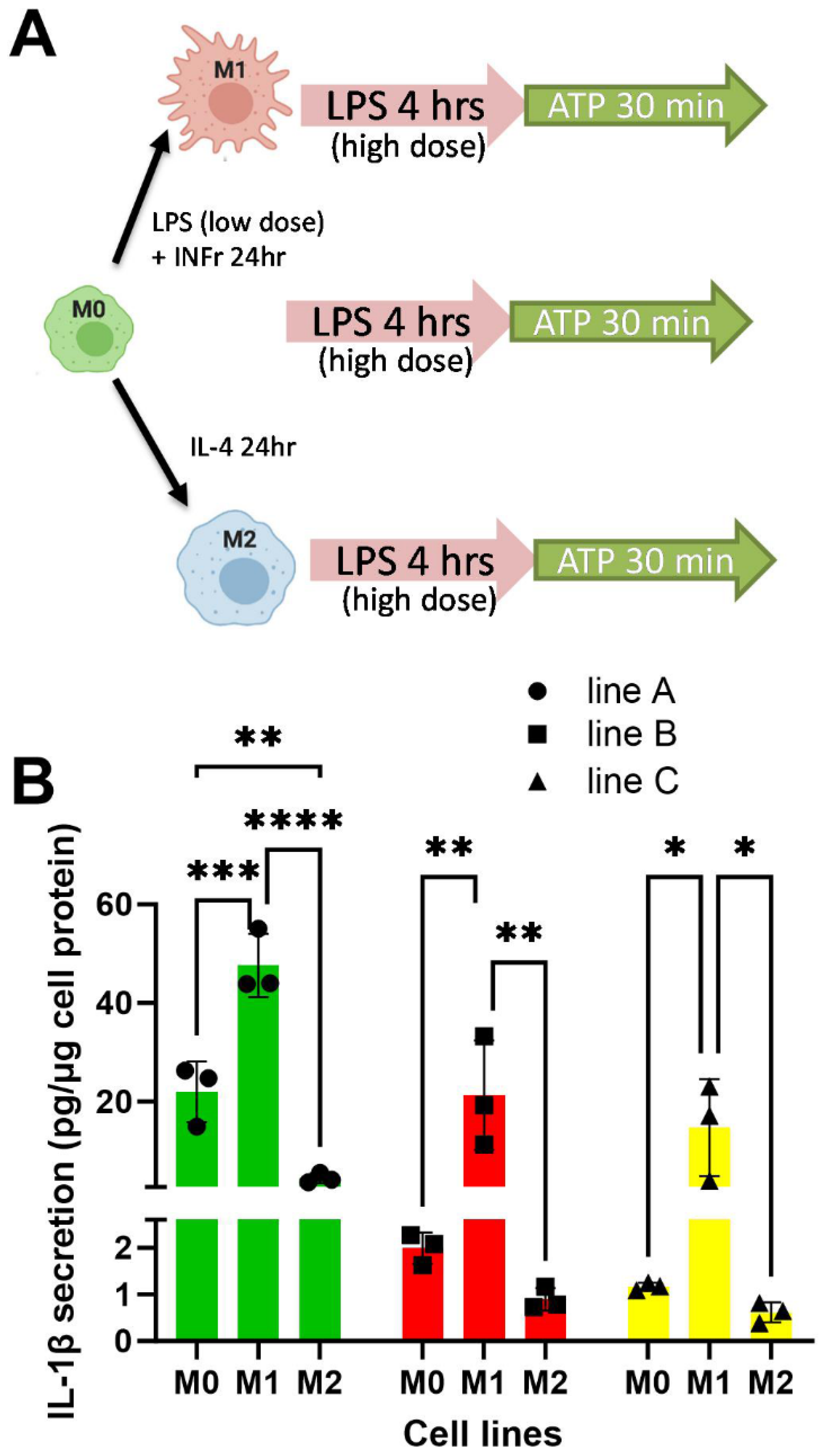 Biomedicines 13 00099 g007 Biomedicines 13 00099 g007