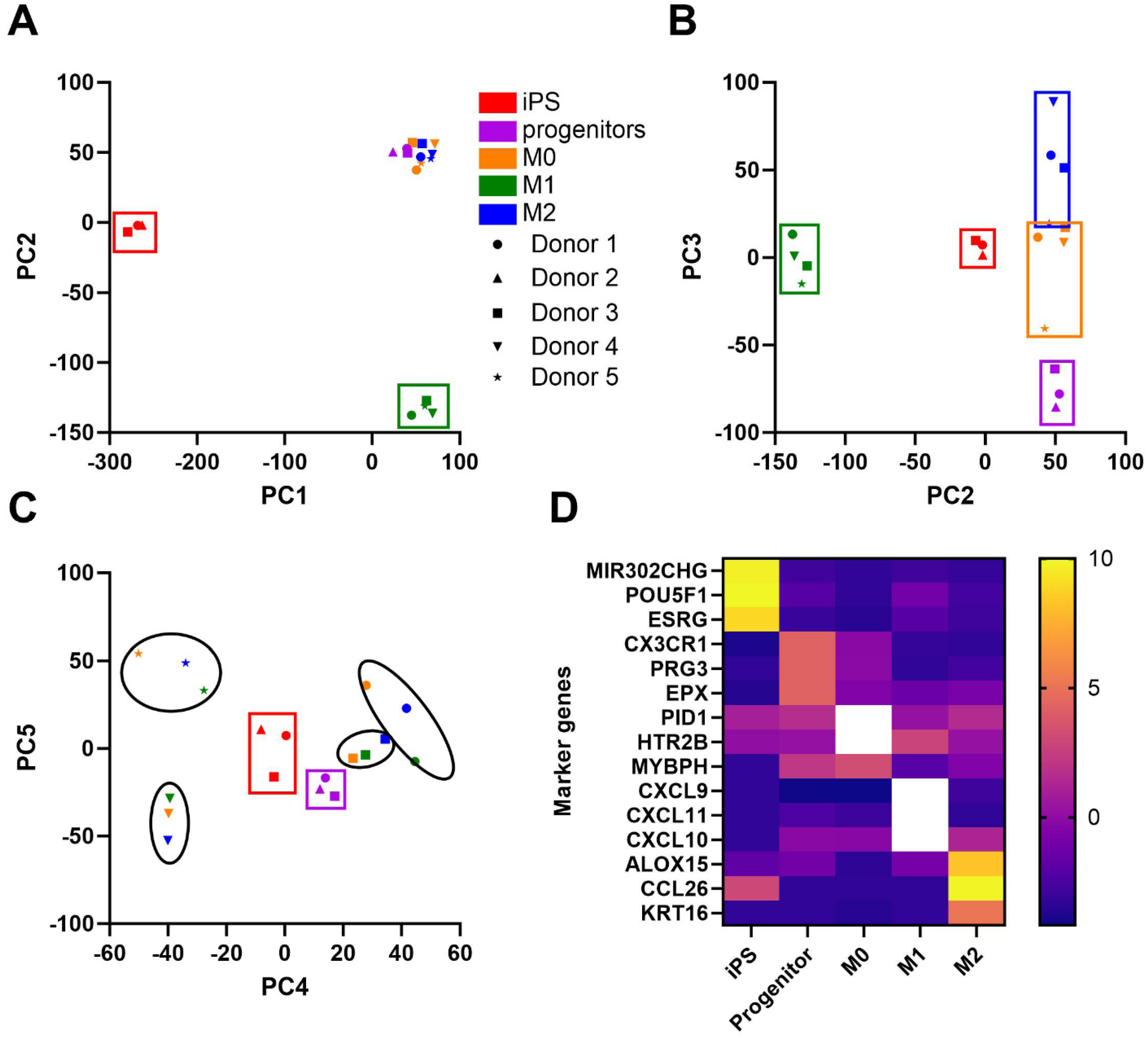 Biomedicines 13 00099 g008 Biomedicines 13 00099 g008