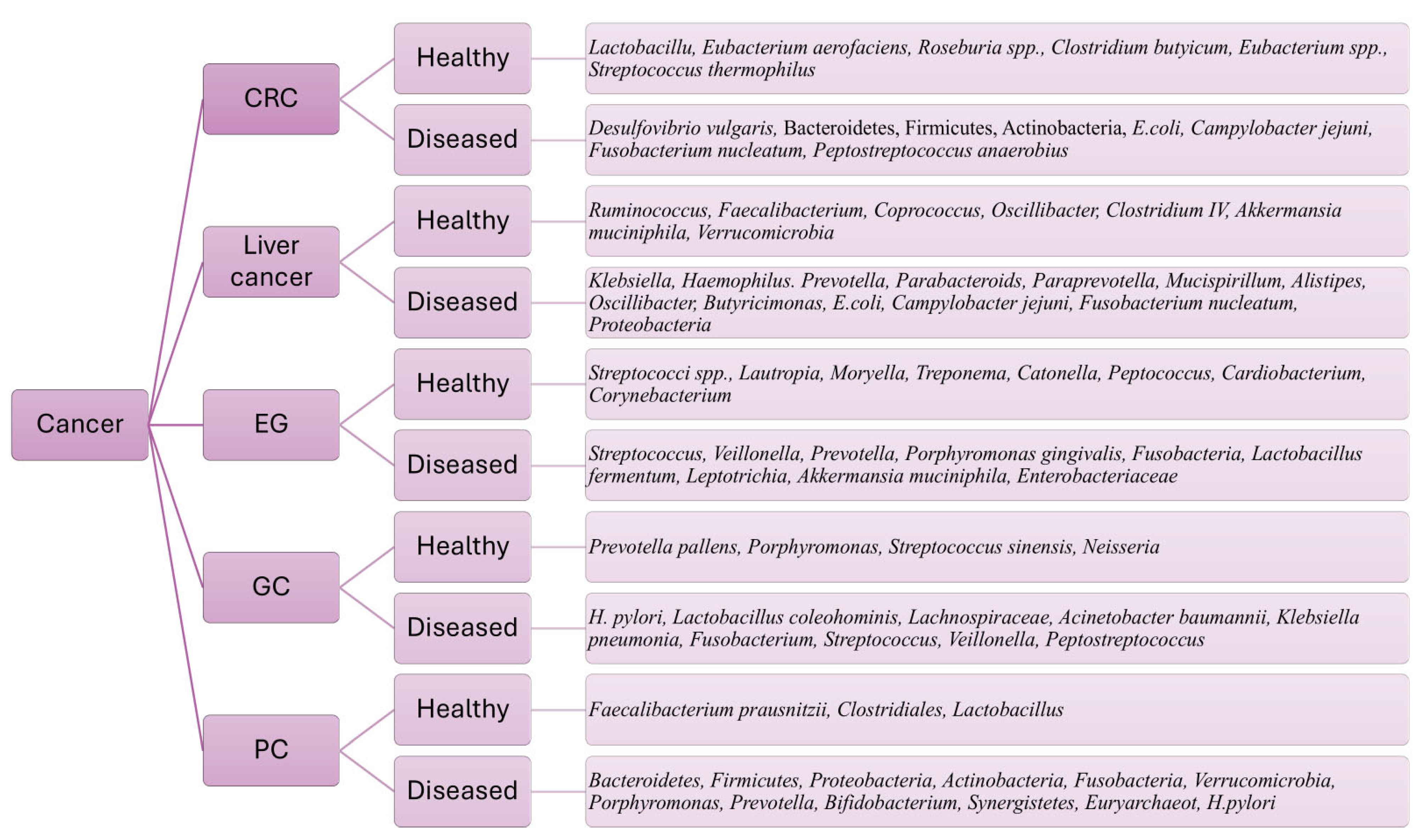 Biomedicines 13 00100 g001 Biomedicines 13 00100 g001