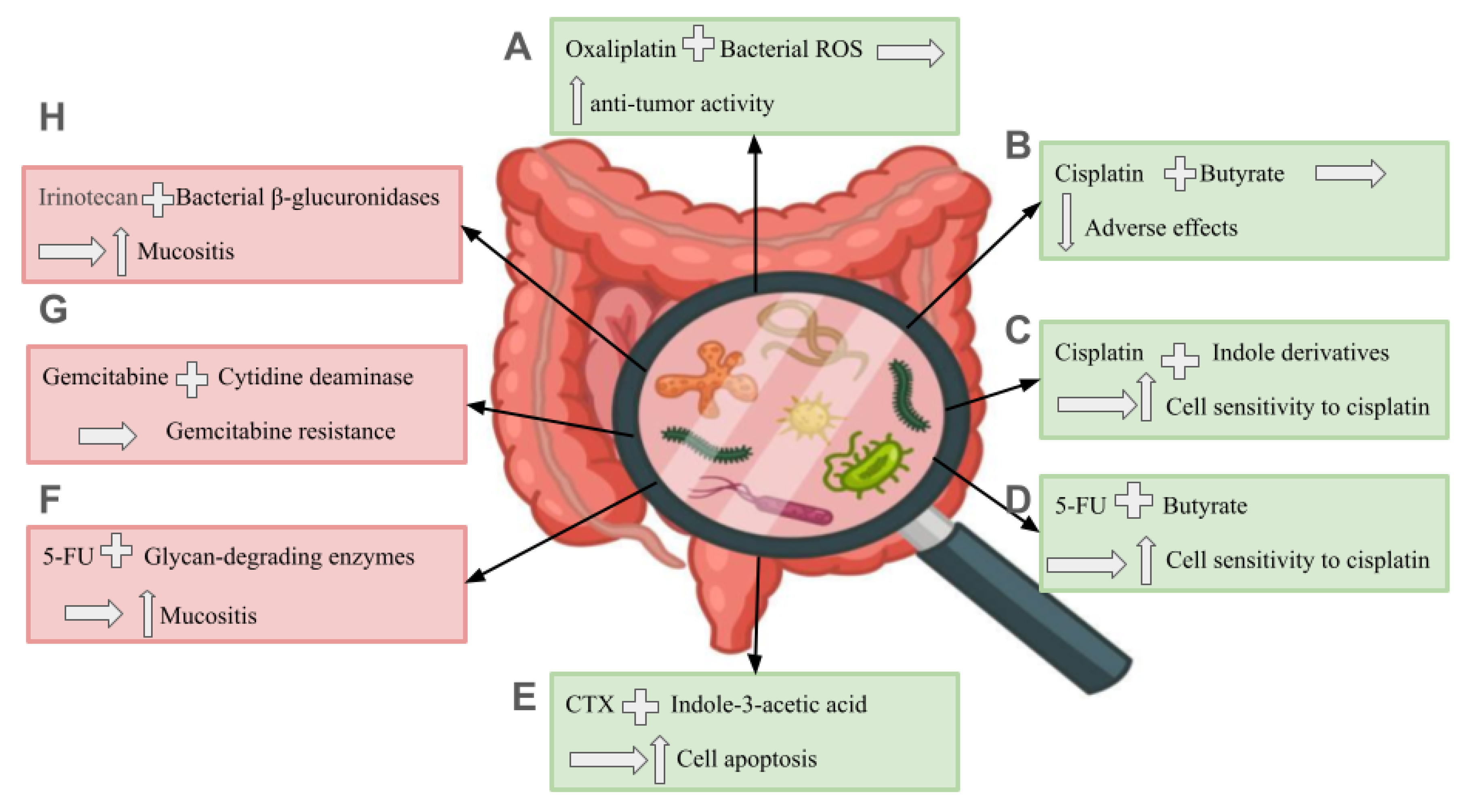 Biomedicines 13 00100 g002 Biomedicines 13 00100 g002