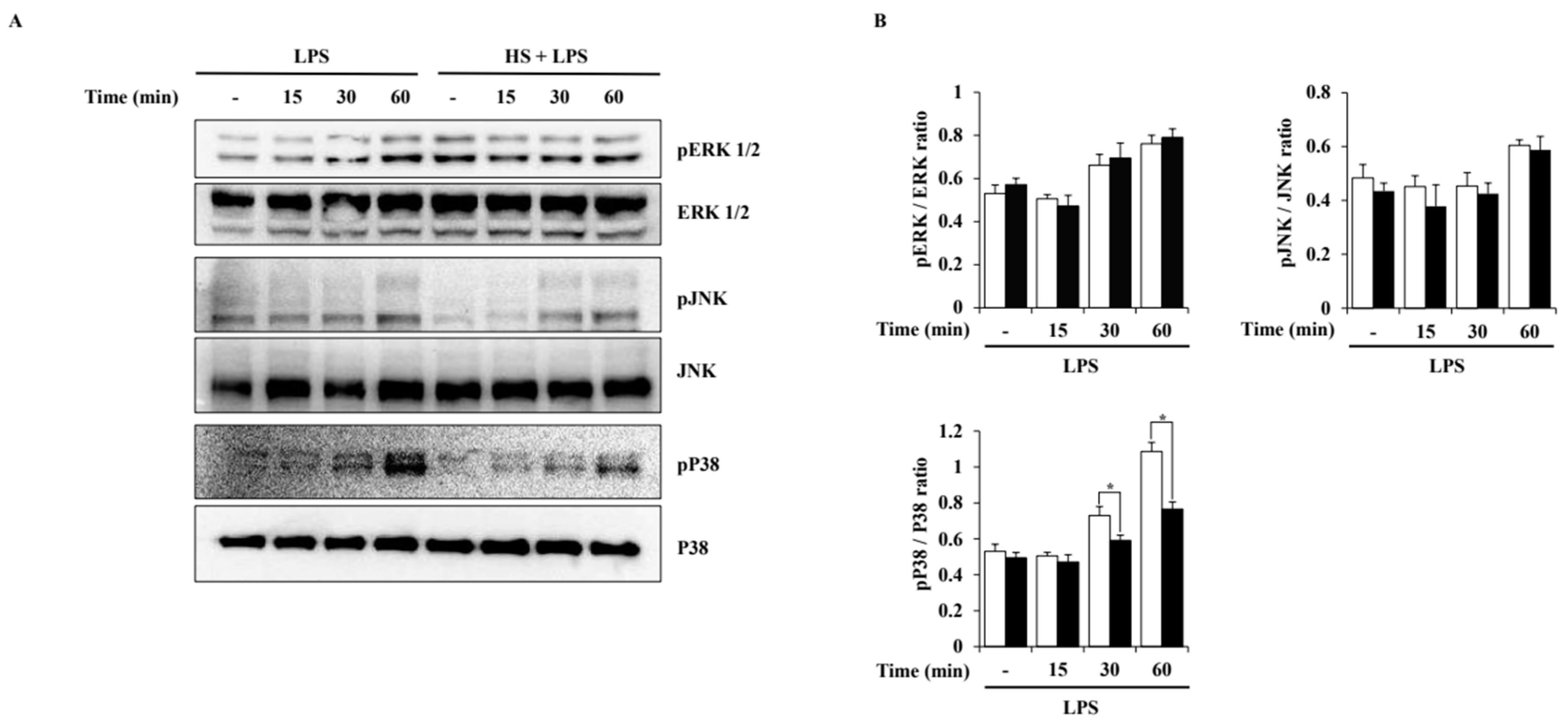 Biomedicines 13 00103 g005