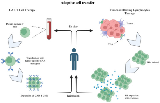 Oncolytic Viruses and Immunotherapy for the Treatment of