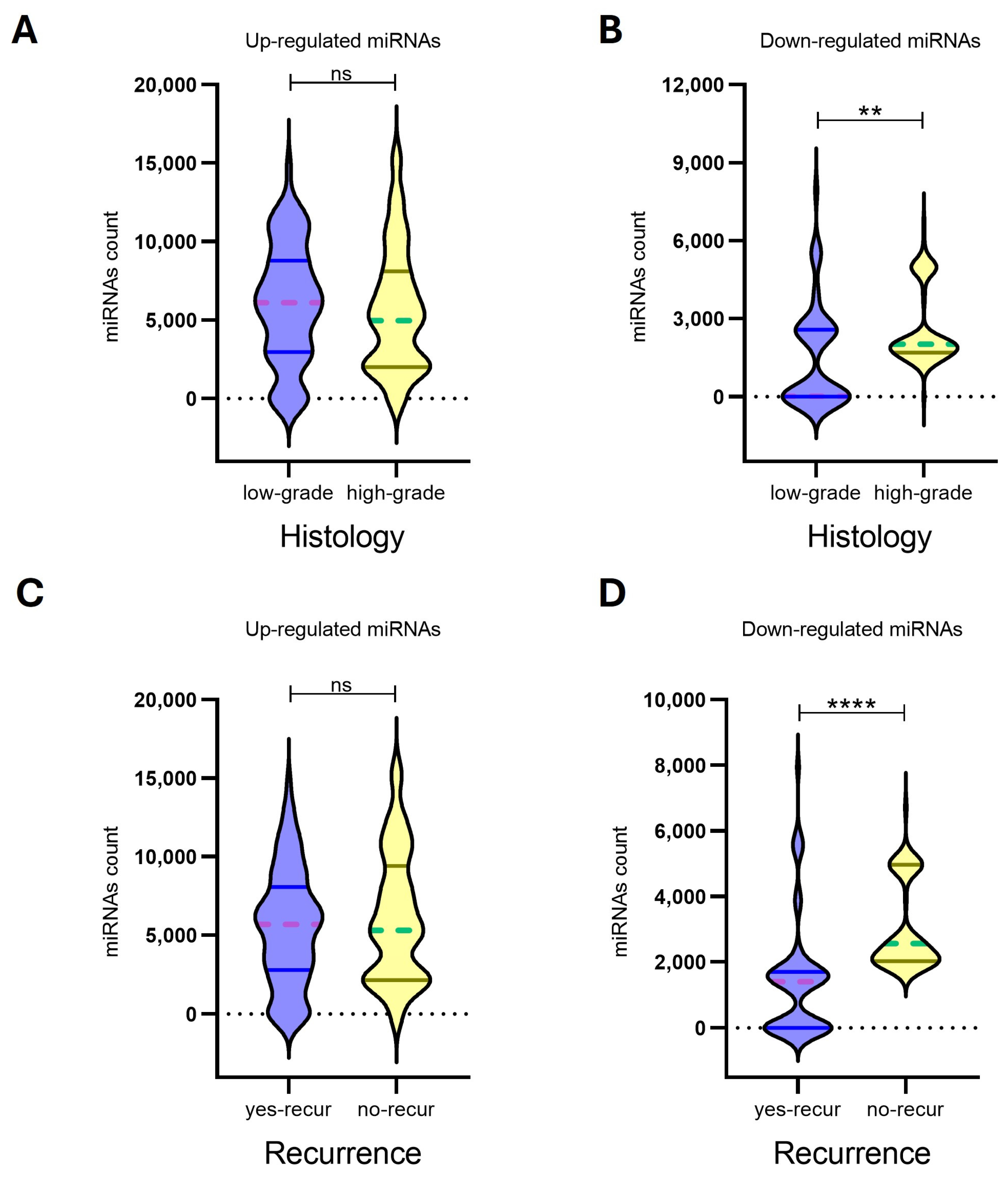 Biomedicines 13 00112 g004