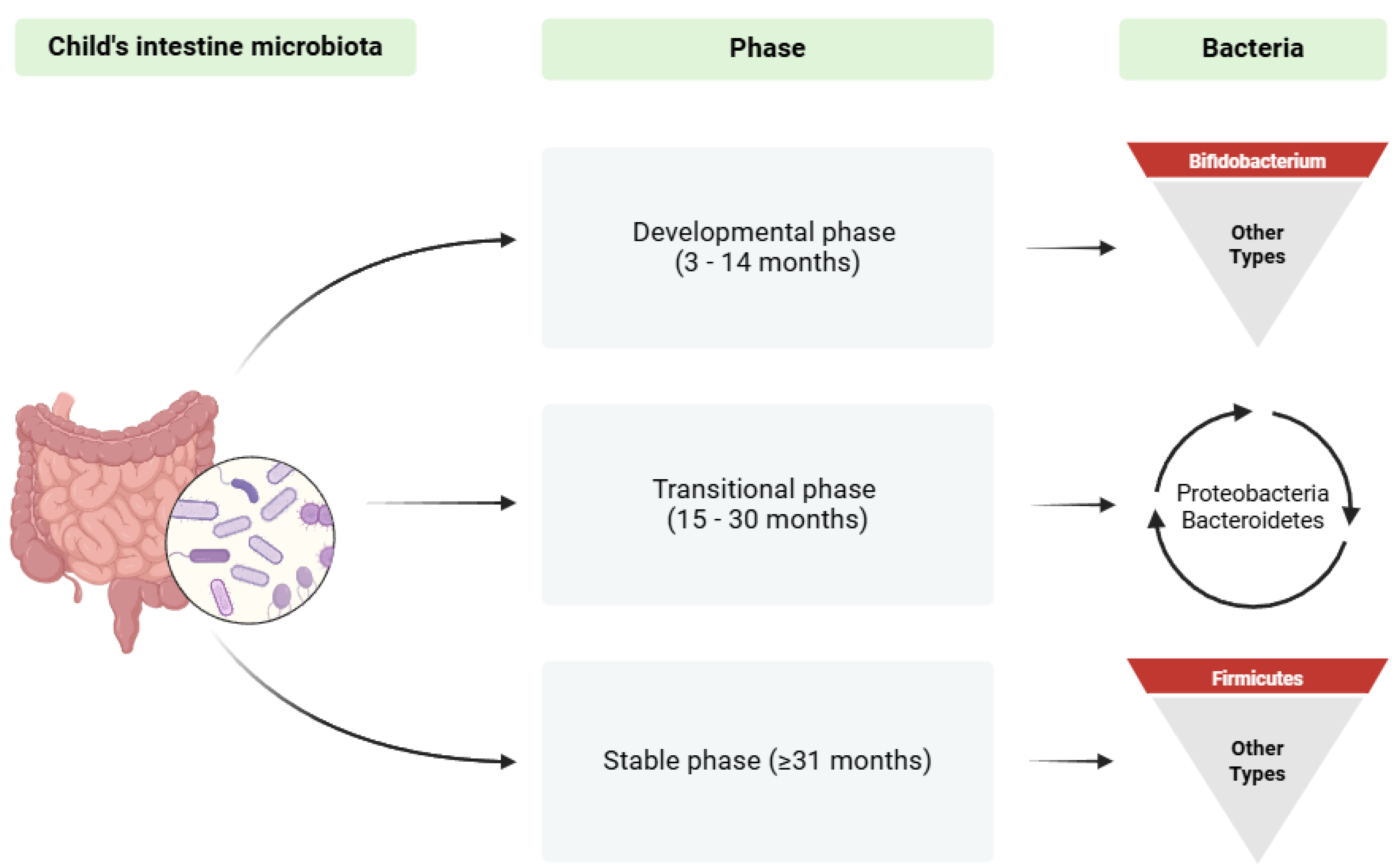 Biomedicines 13 00121 g001 Biomedicines 13 00121 g001